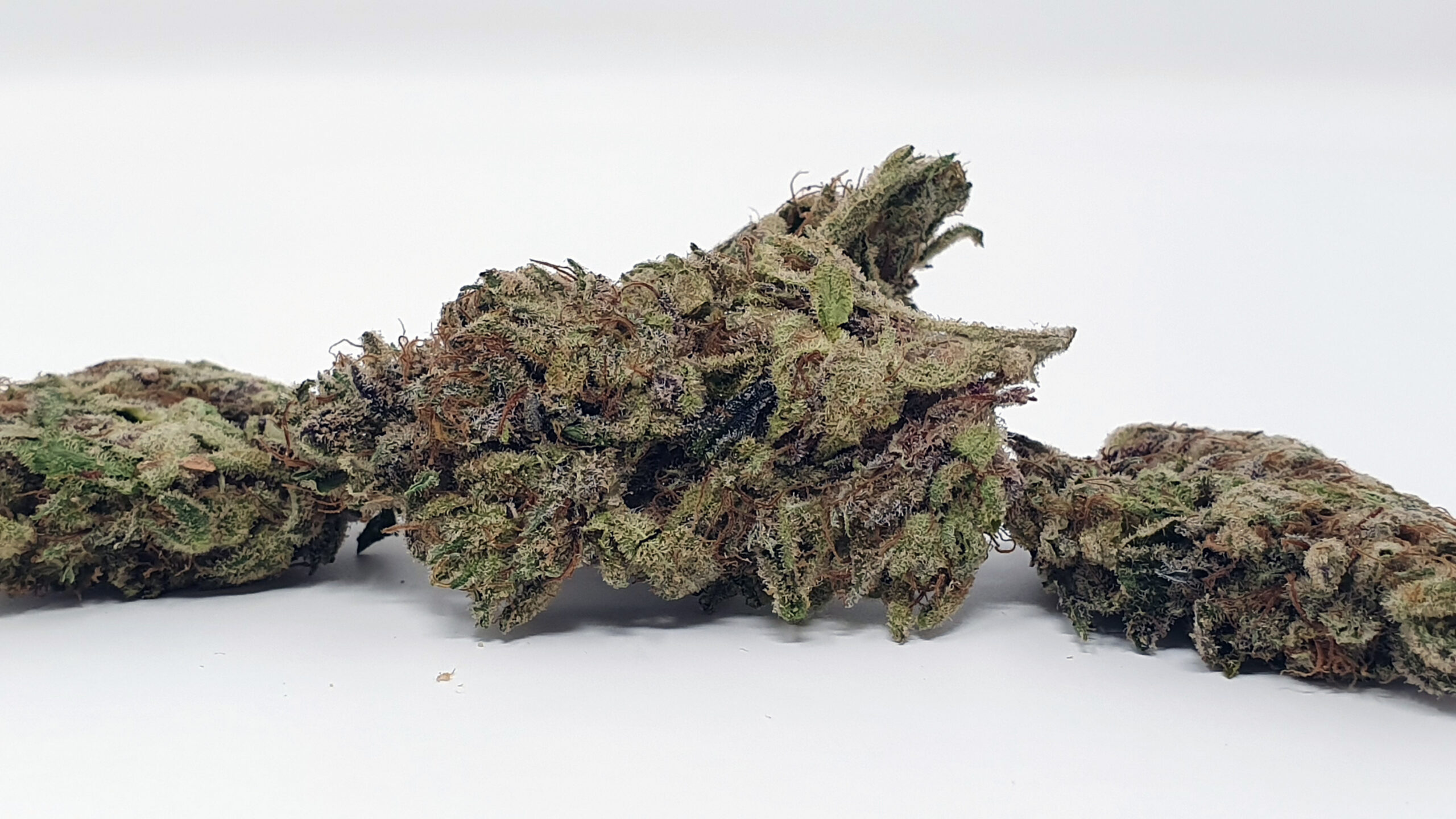 ISMOKE archive image 3 for Jaffacito Cannabis strain review