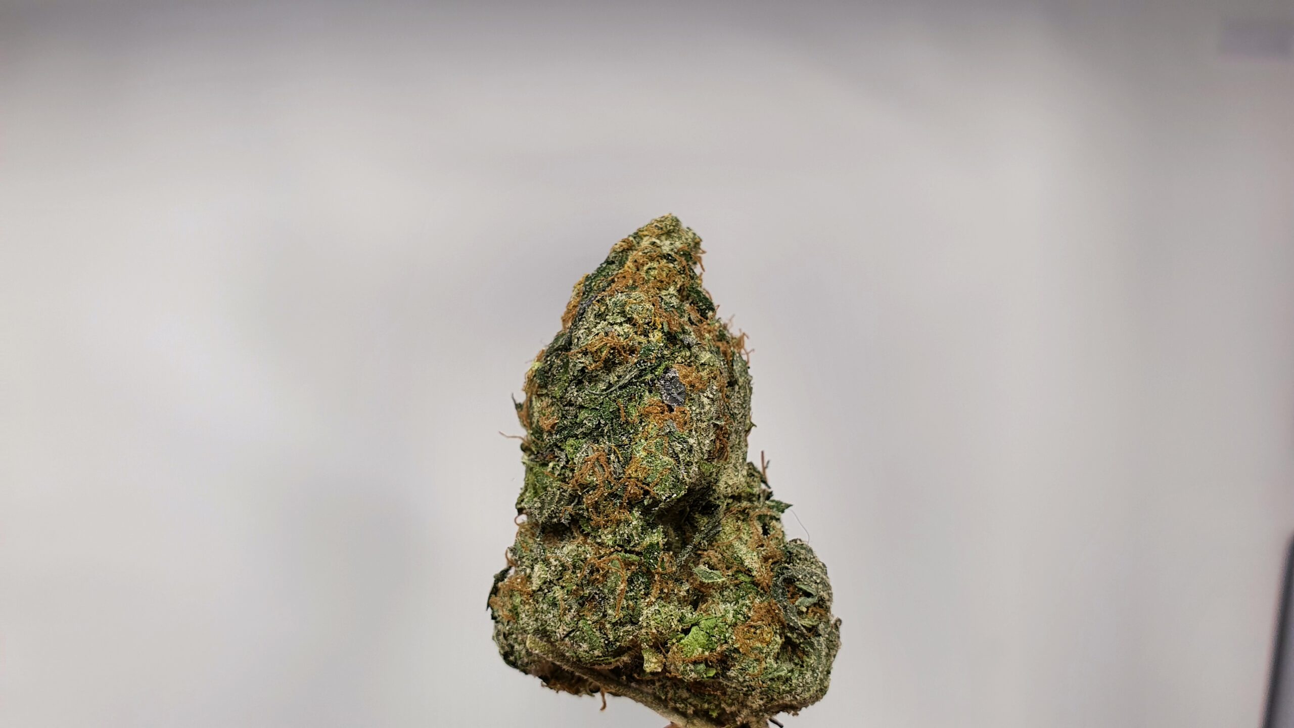 ISMOKE archive image 3 for Kosherberriez Cannabis strain review