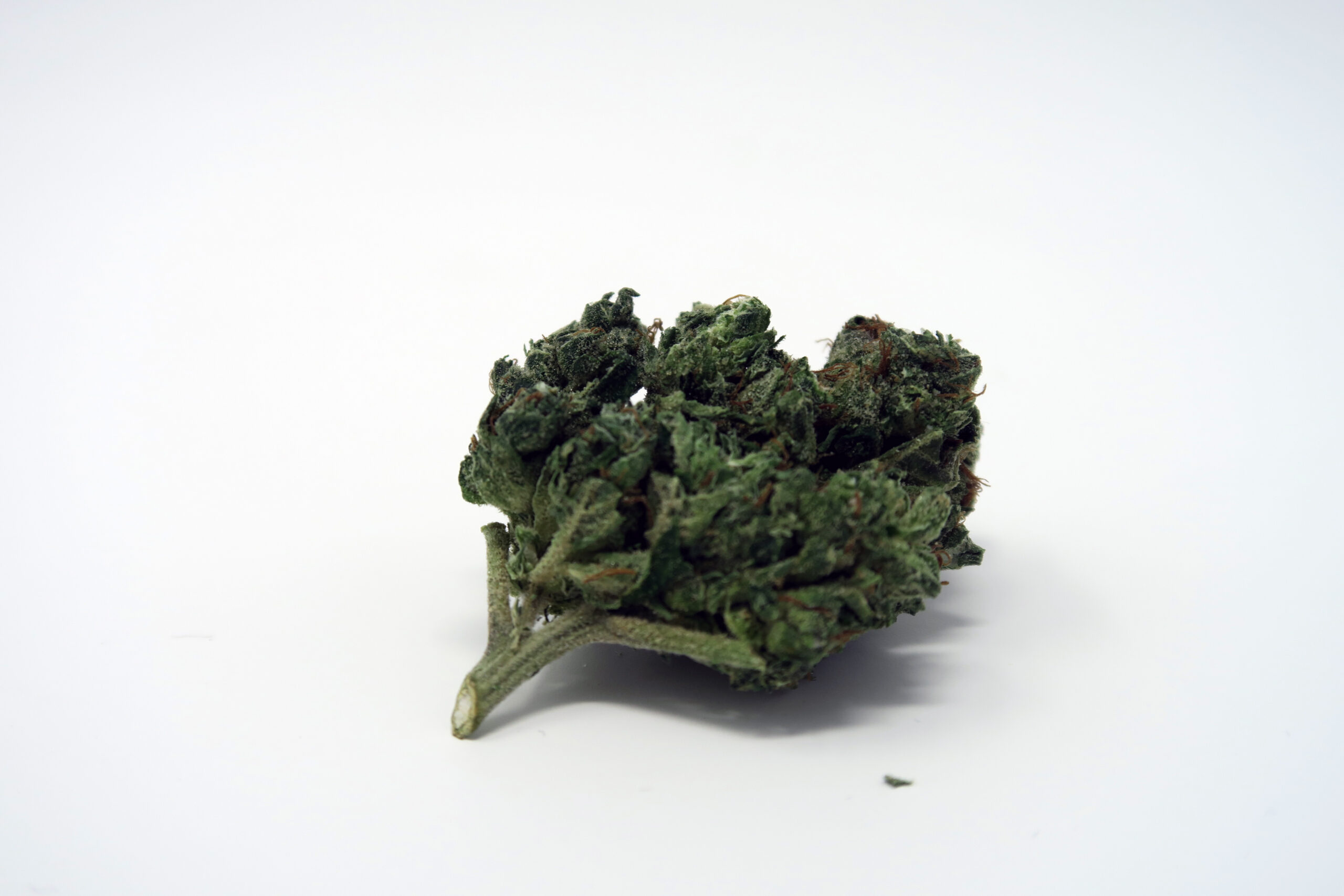 ISMOKE archive image 3 for Orange Diesel V3 [ODV3] Cannabis Strain Review