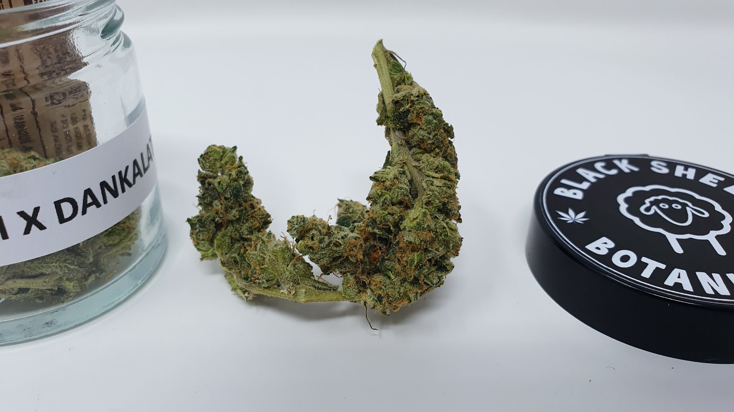ISMOKE archive image 3 for Orange Slush Cannabis strain review