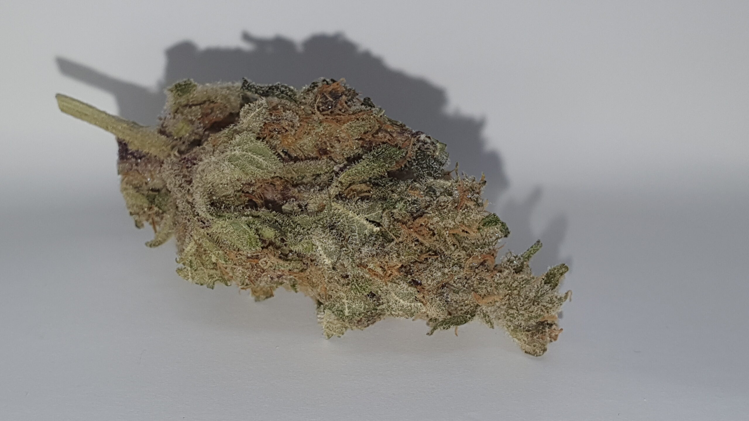 ISMOKE archive image 3 for Purple Punch Cannabis strain review