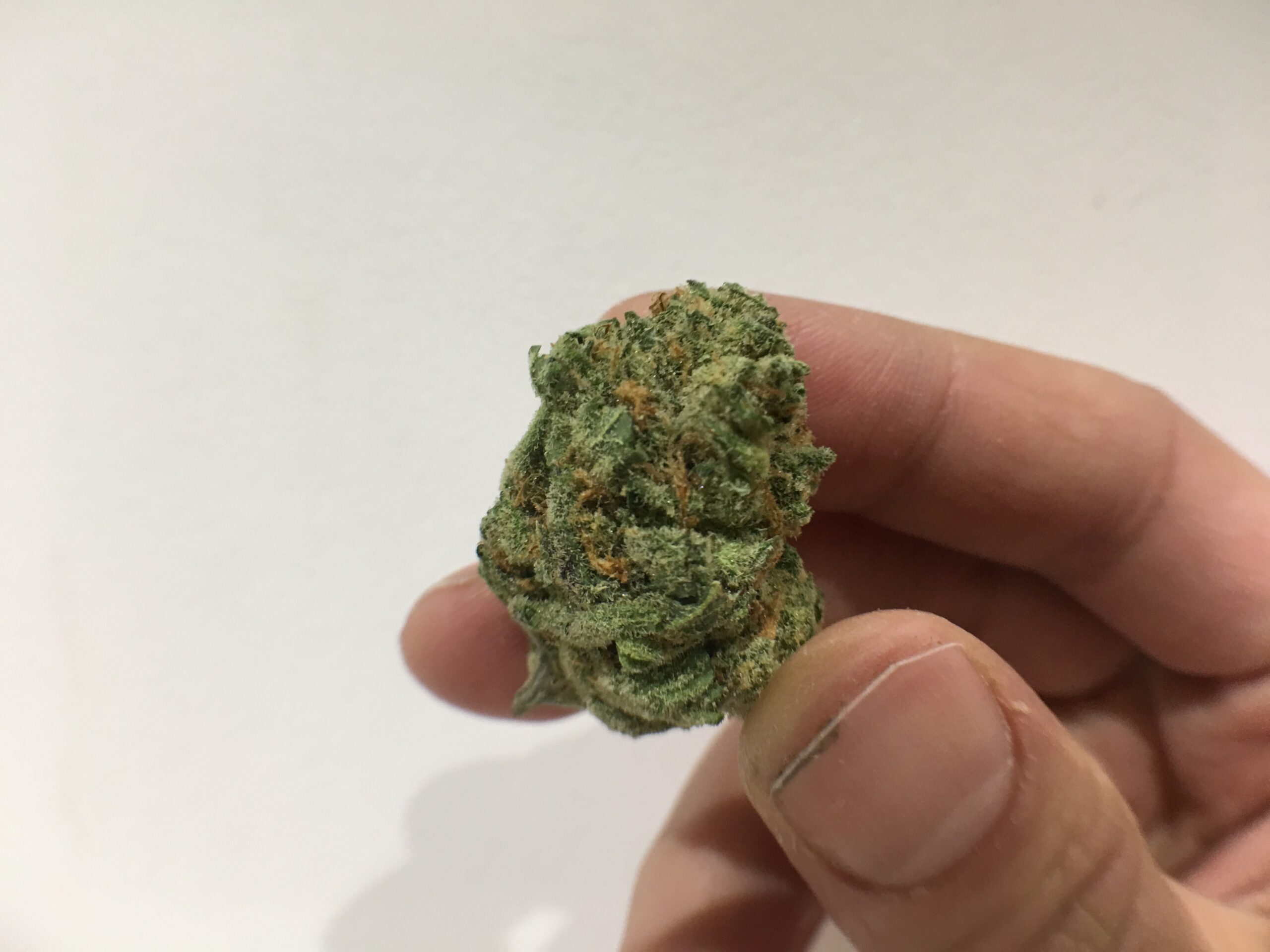 ISMOKE archive image 3 for S5 Haze Cannabis Strain Review