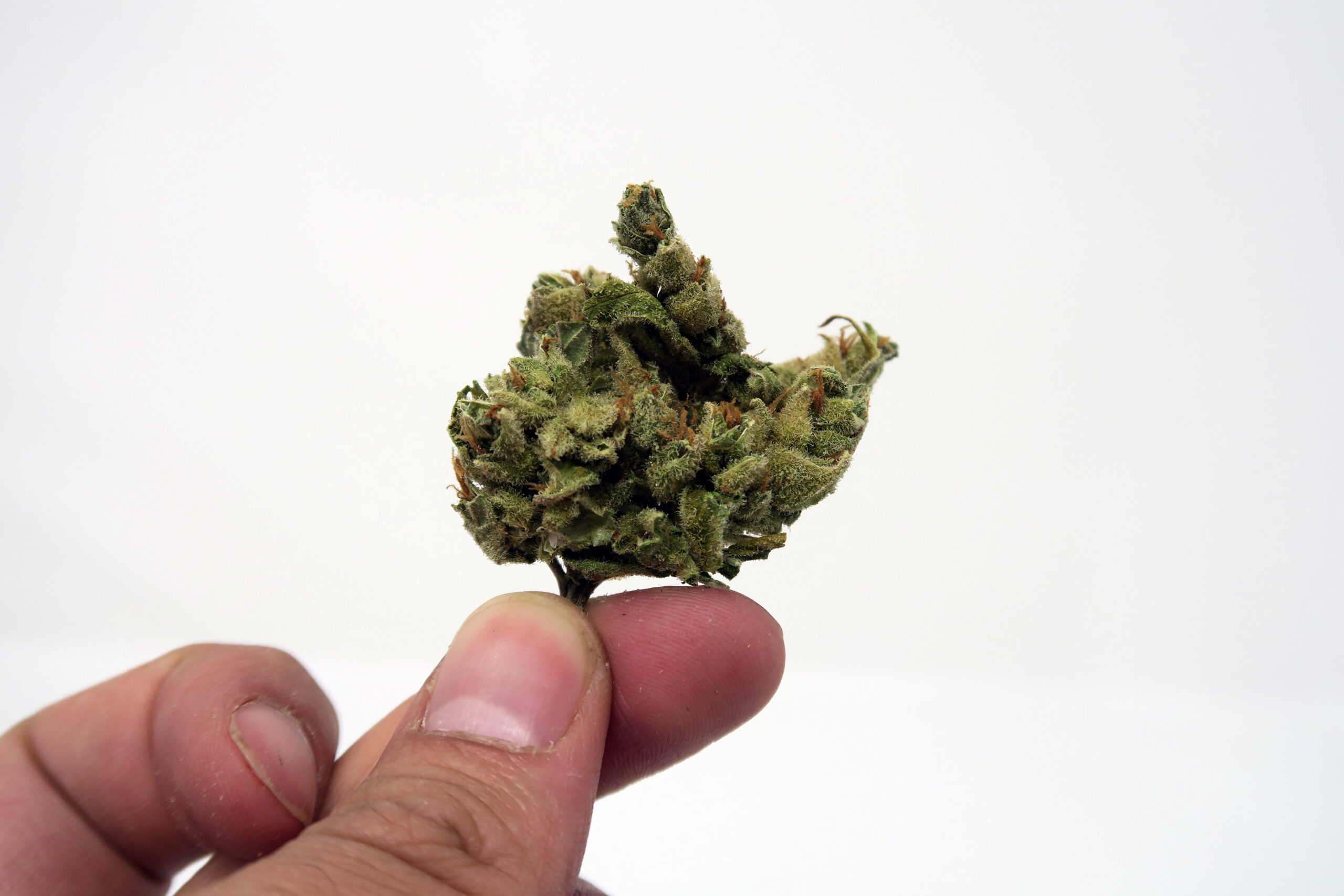 ISMOKE archive image 3 for Silver Bubble Strain Review