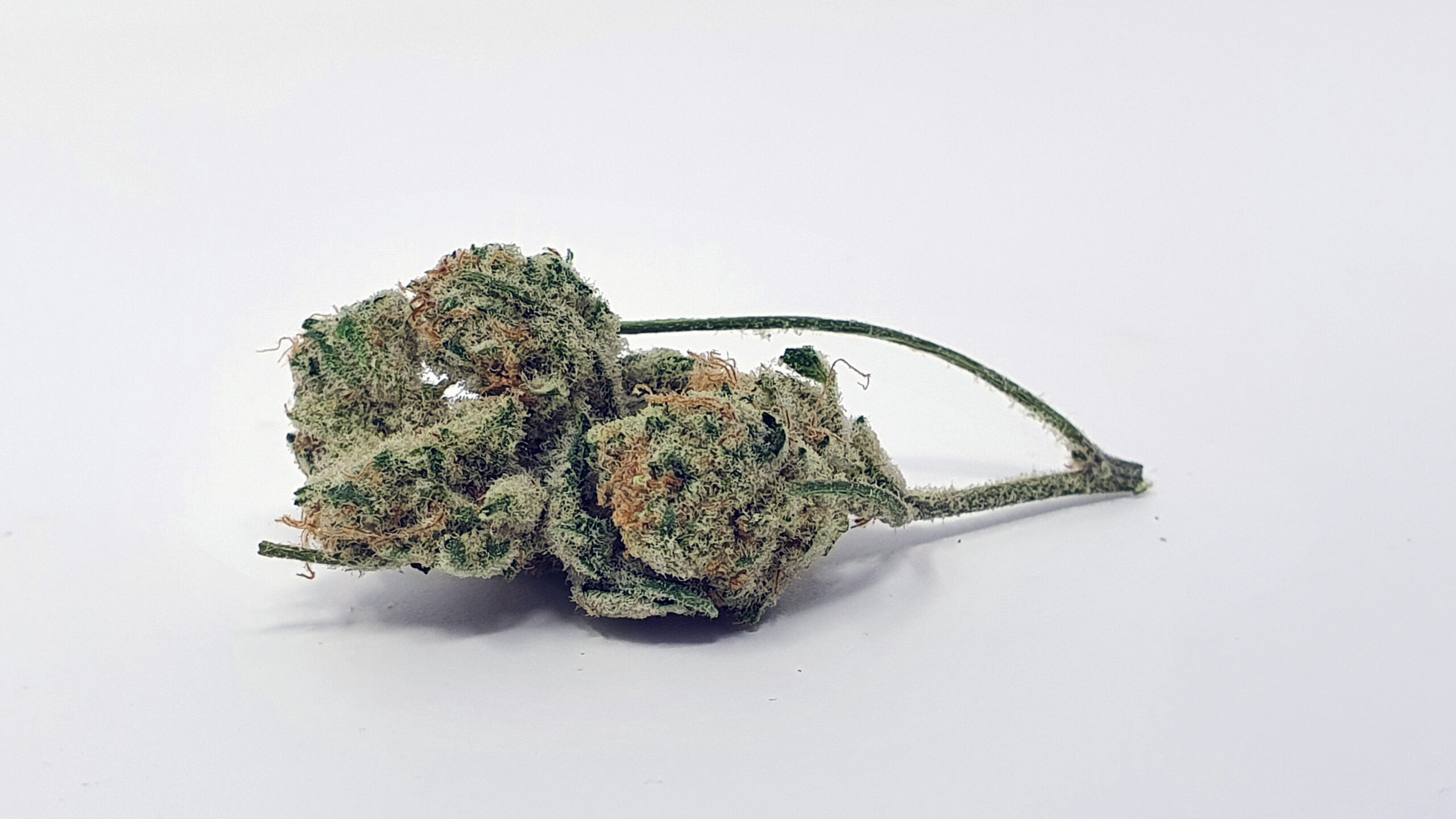 ISMOKE archive image 3 for Slurricane strain review