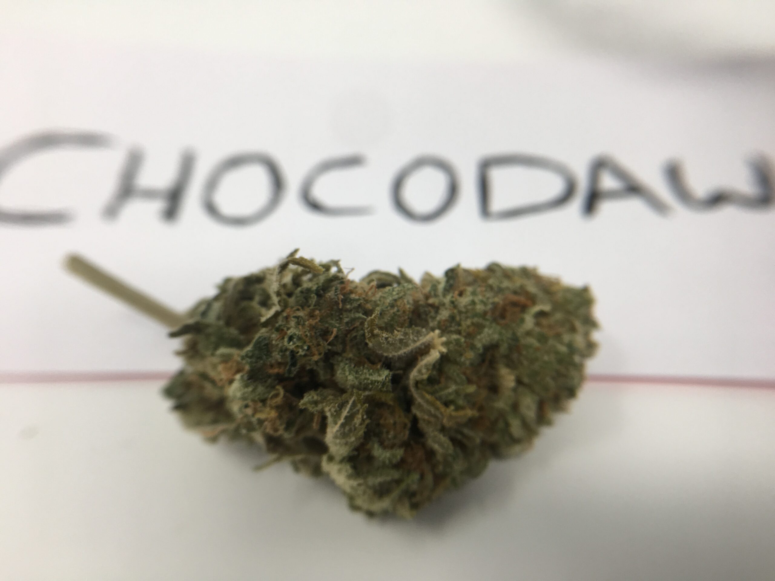 ISMOKE archive image 3 for Stardawg Strain Review
