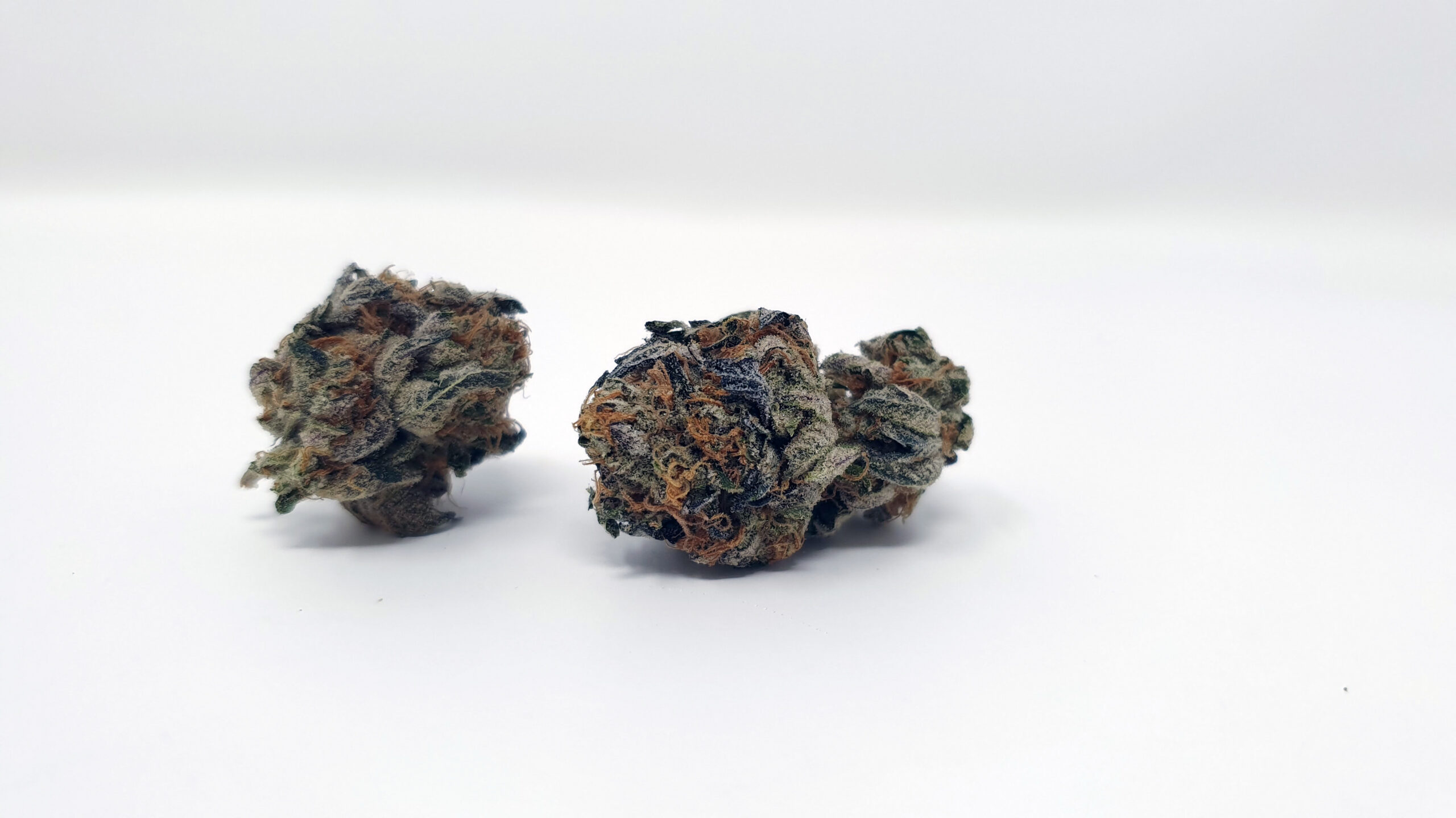 ISMOKE archive image 3 for Sunset Sherbet Cannabis strain review