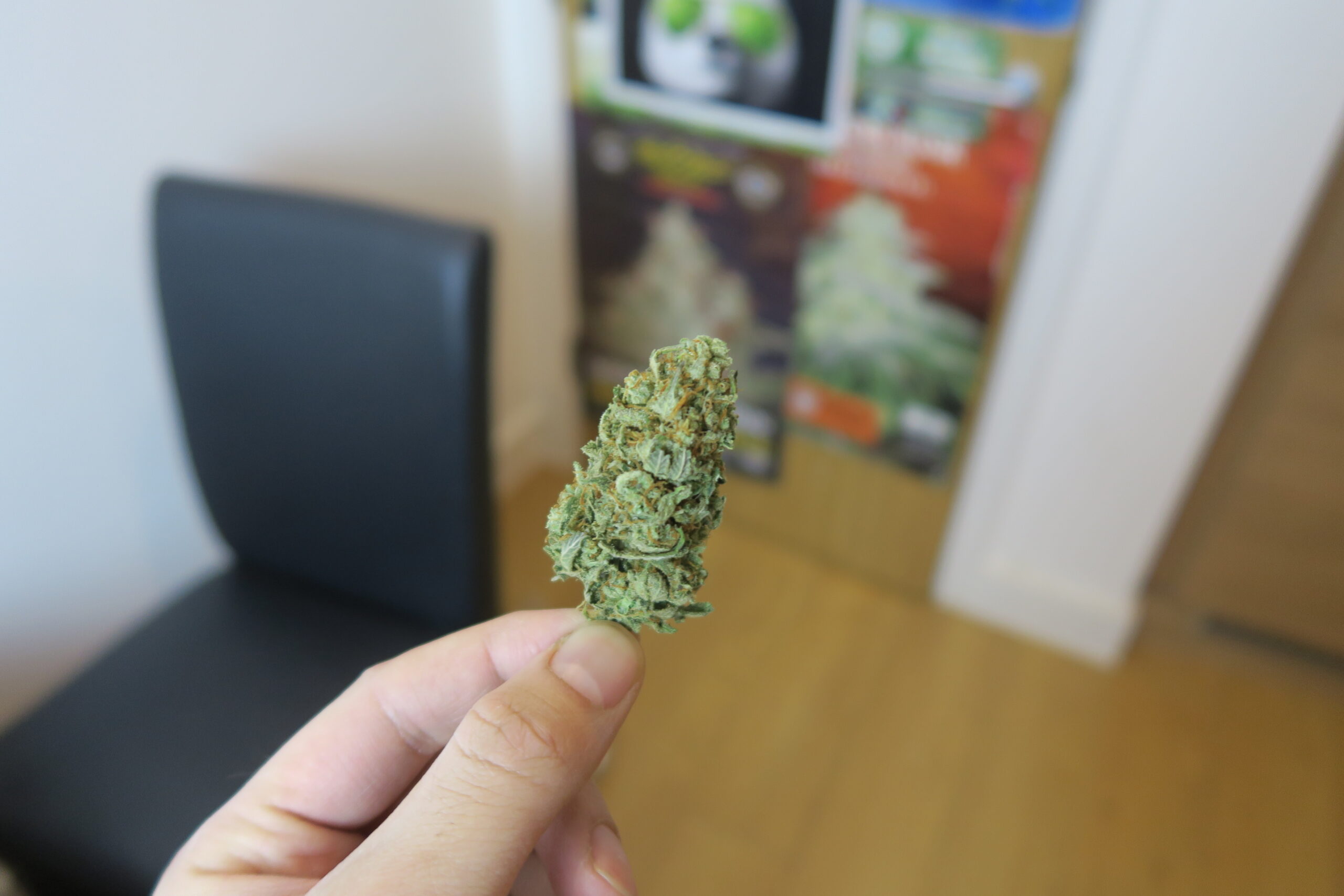 ISMOKE archive image 3 for Super Lemon Haze Strain Review