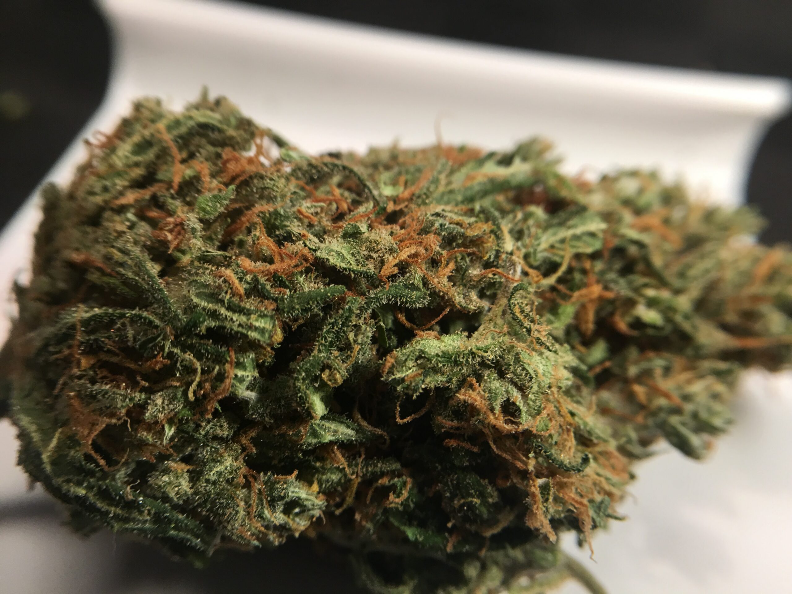 ISMOKE archive image 3 for Super Silver Haze Cannabis Strain review