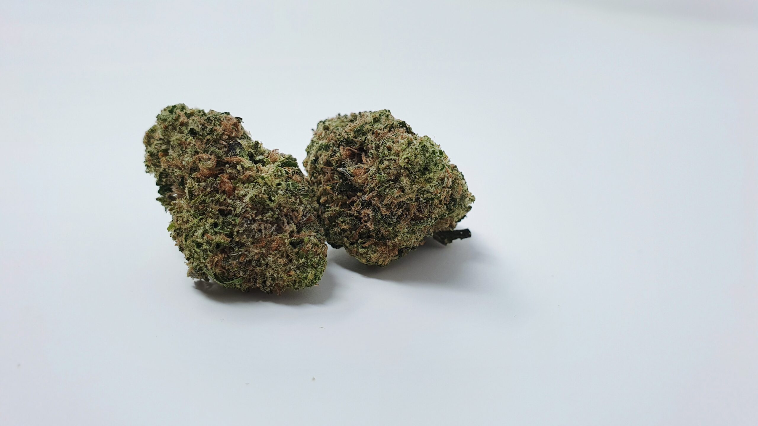 ISMOKE archive image 3 for ZCube Cannabis strain review