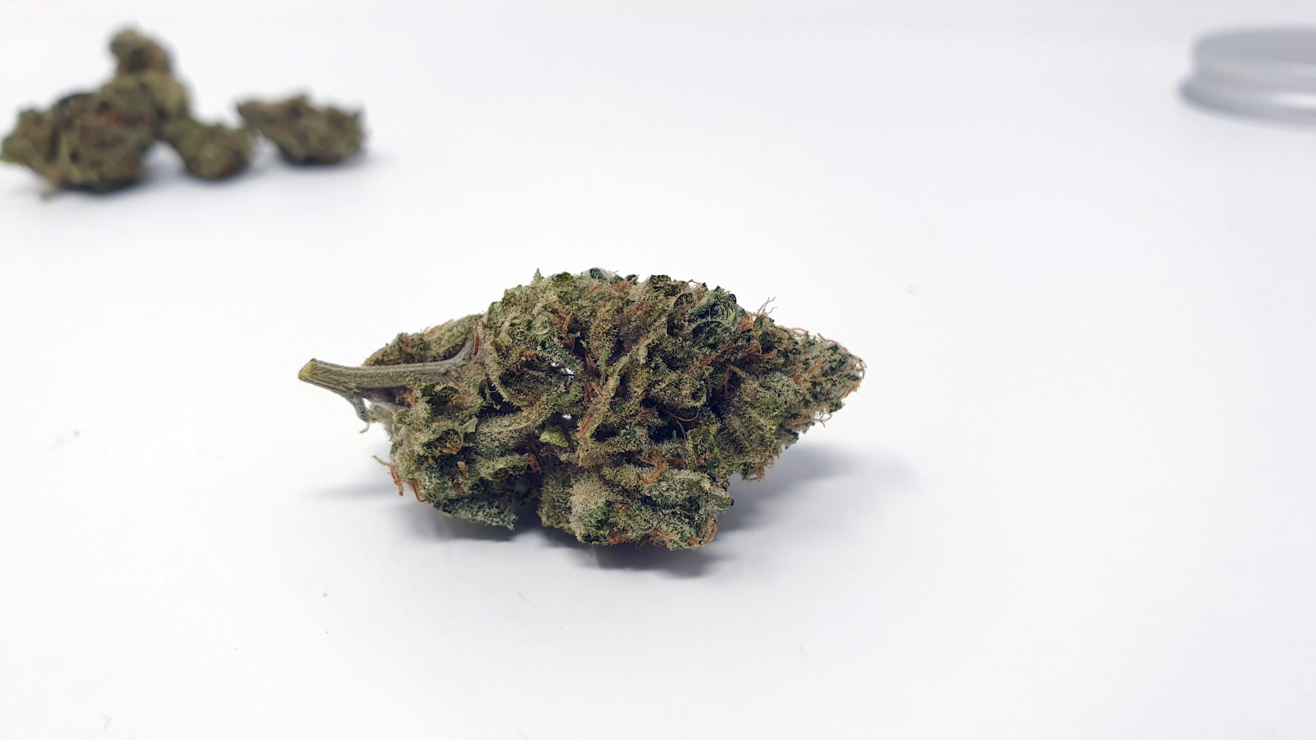 ISMOKE archive image 3 for ZkittleZ strain review
