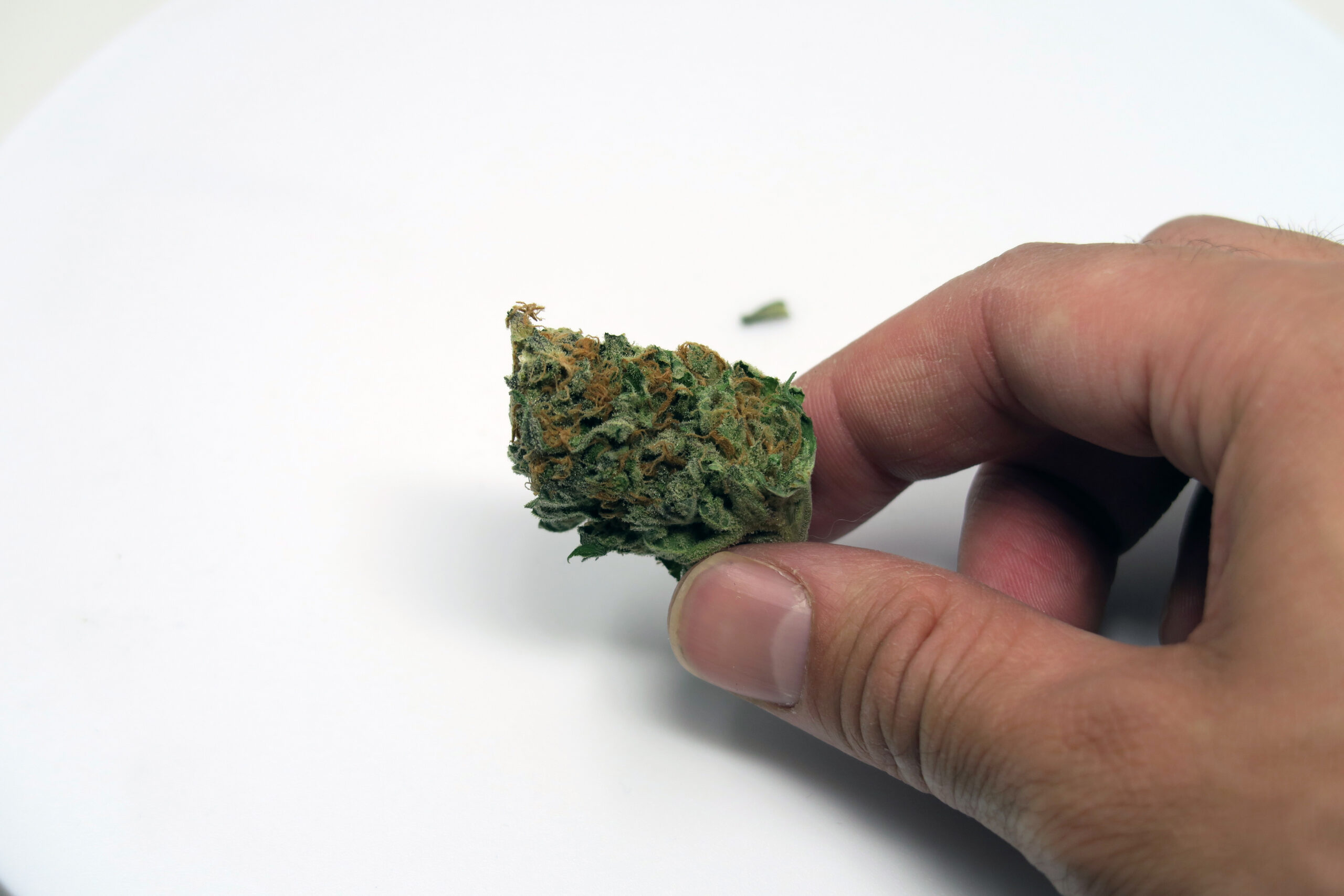 ISMOKE archive image 4 for Lavender Cannabis Strain Review