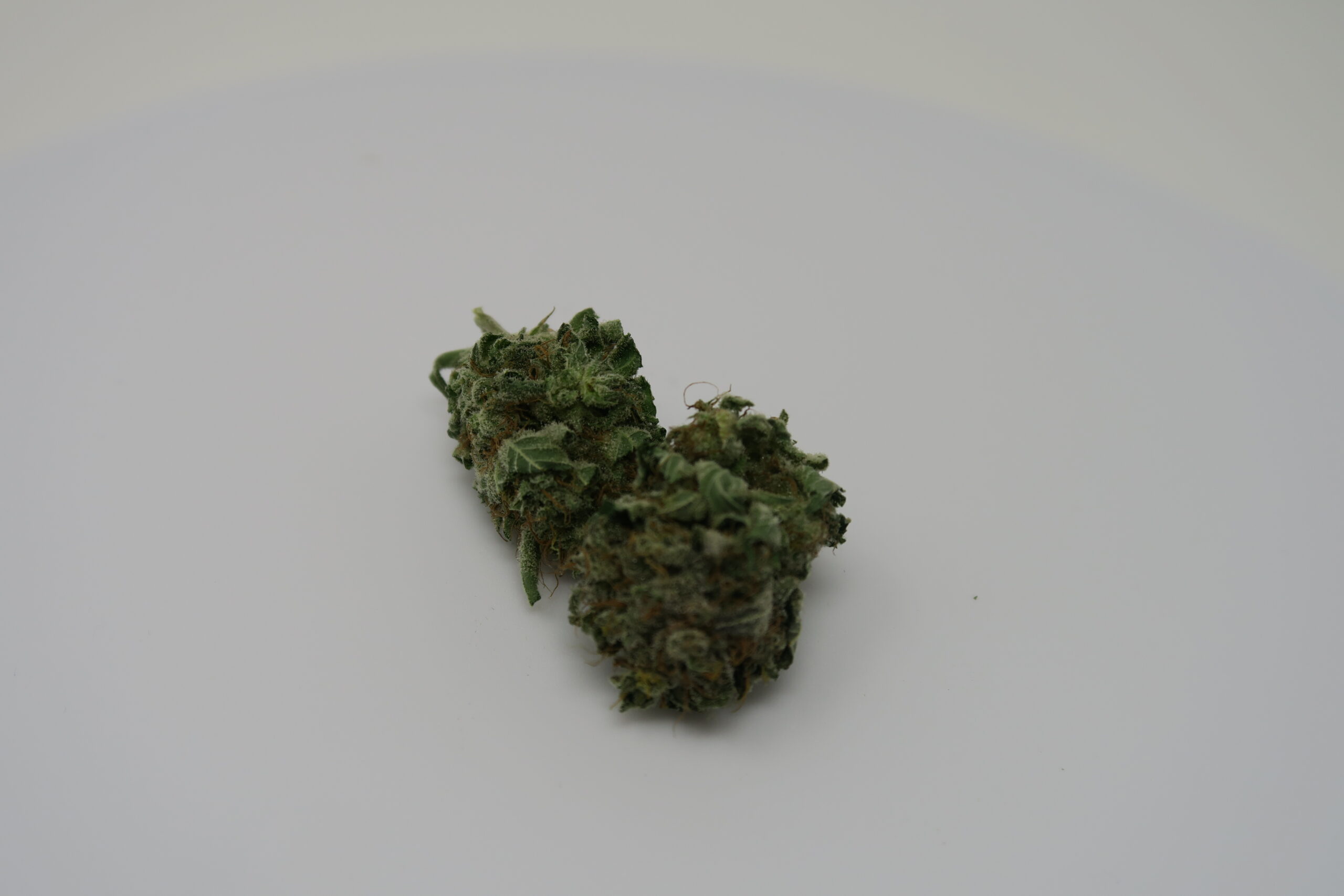 ISMOKE archive image 4 for Candy Cream Cannabis Strain Review