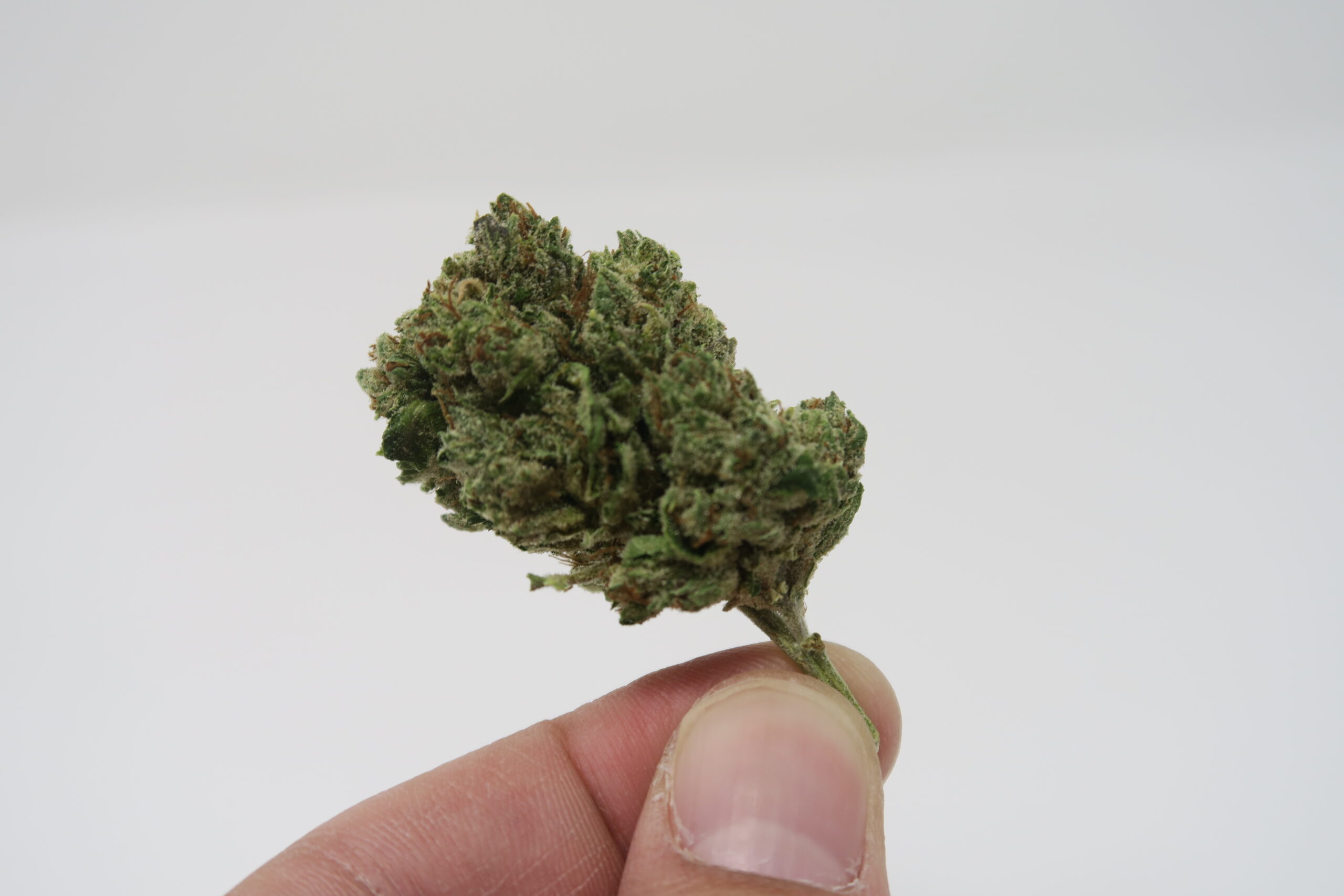 ISMOKE archive image 4 for Headband Cannabis Strain Review