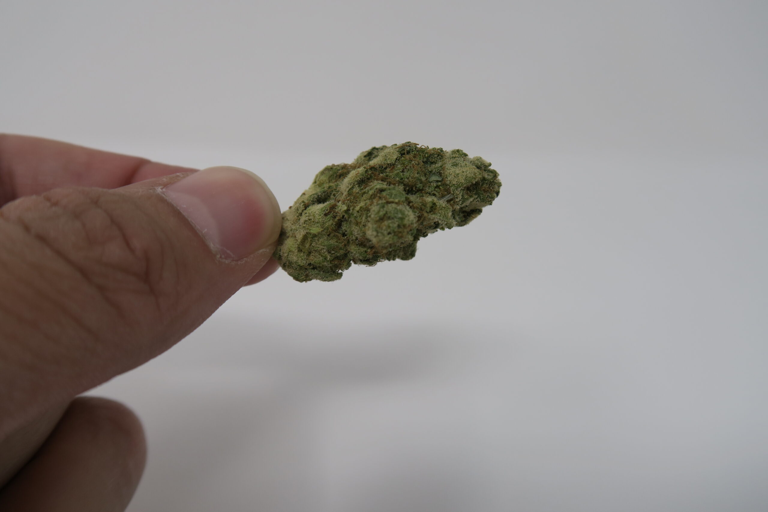 ISMOKE archive image 4 for Animal Cookies US Cannabis Strain Review
