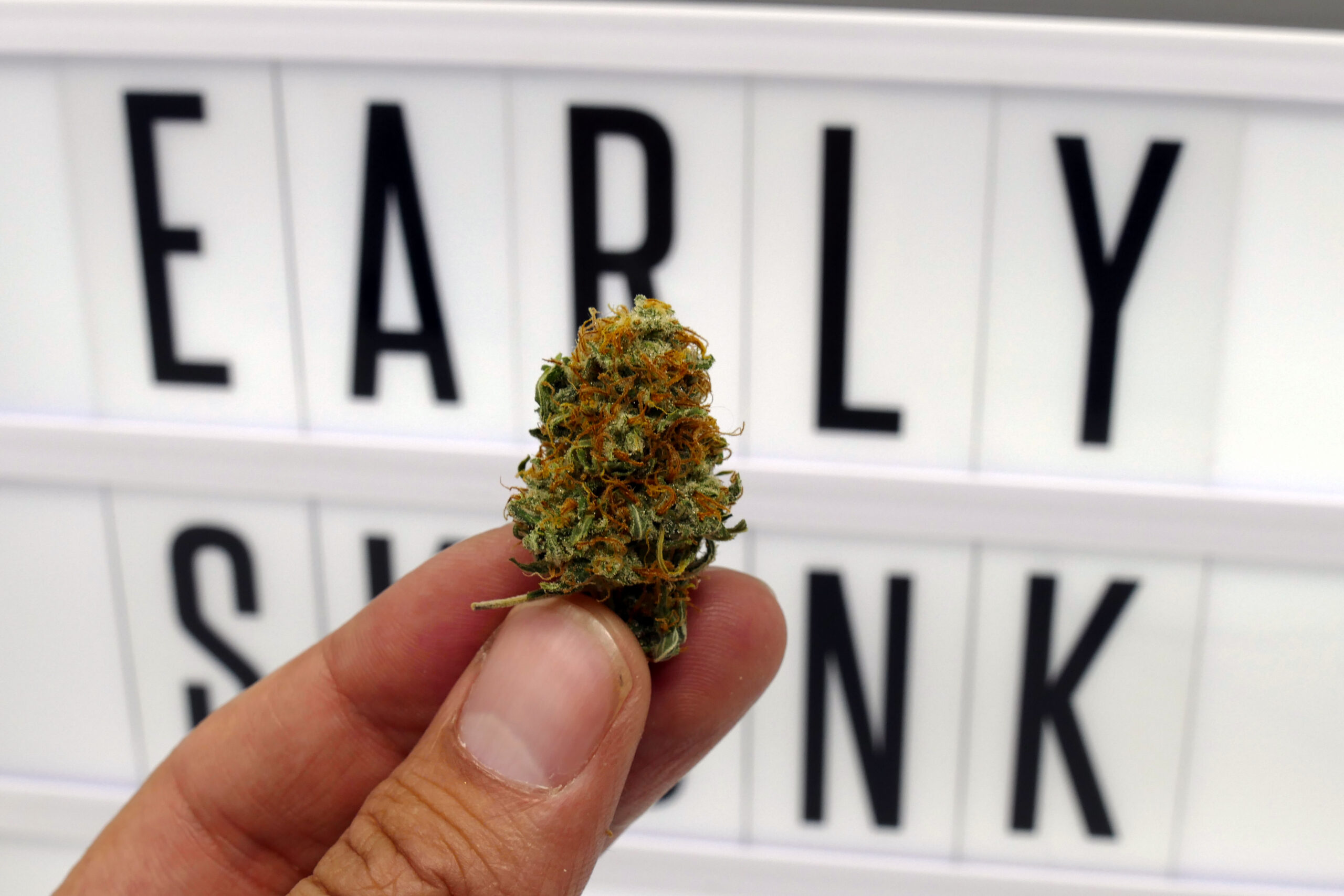 ISMOKE archive image 4 for Early Skunk Cannabis strain review