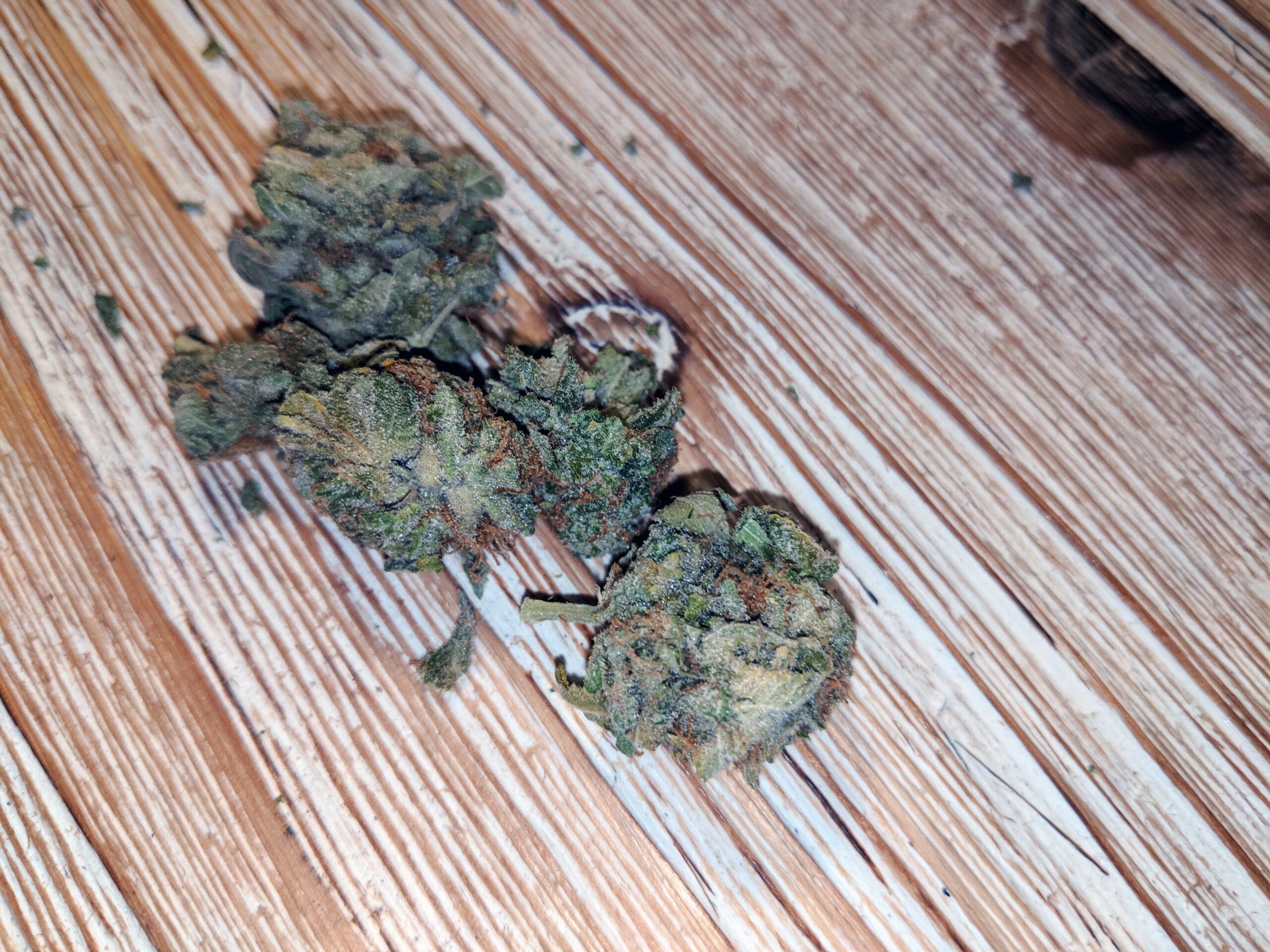 ISMOKE archive image 4 for Mataro Blue Cannabis strain review