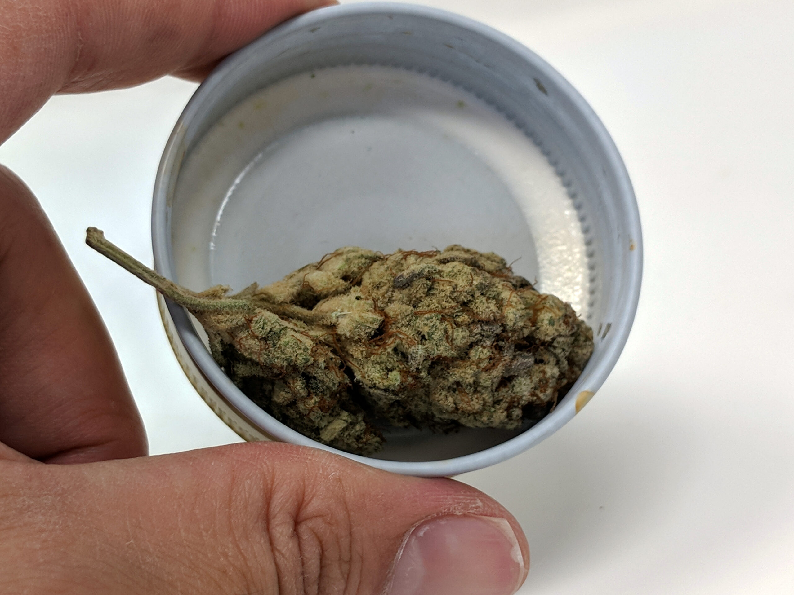 ISMOKE archive image 4 for Alien Cream Cake Strain Review