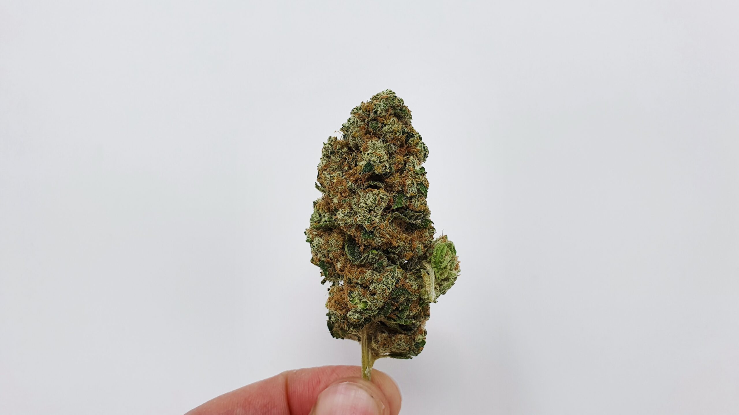 ISMOKE archive image 4 for Banana MAC Cannabis strain review