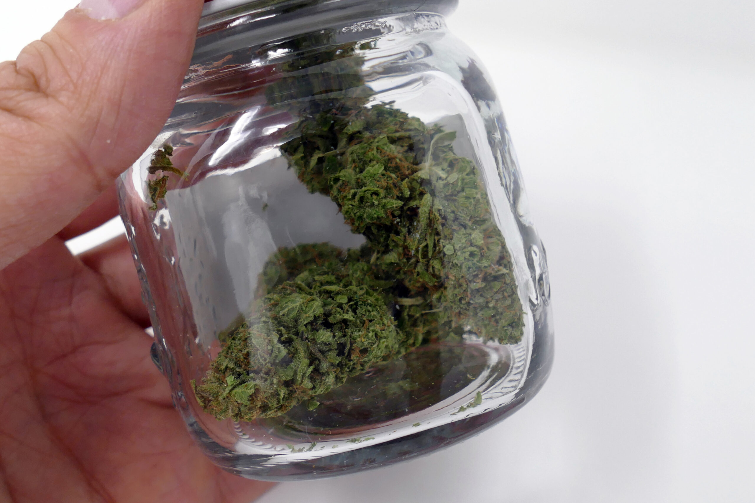 ISMOKE archive image 4 for Cheese Cannabis strain review