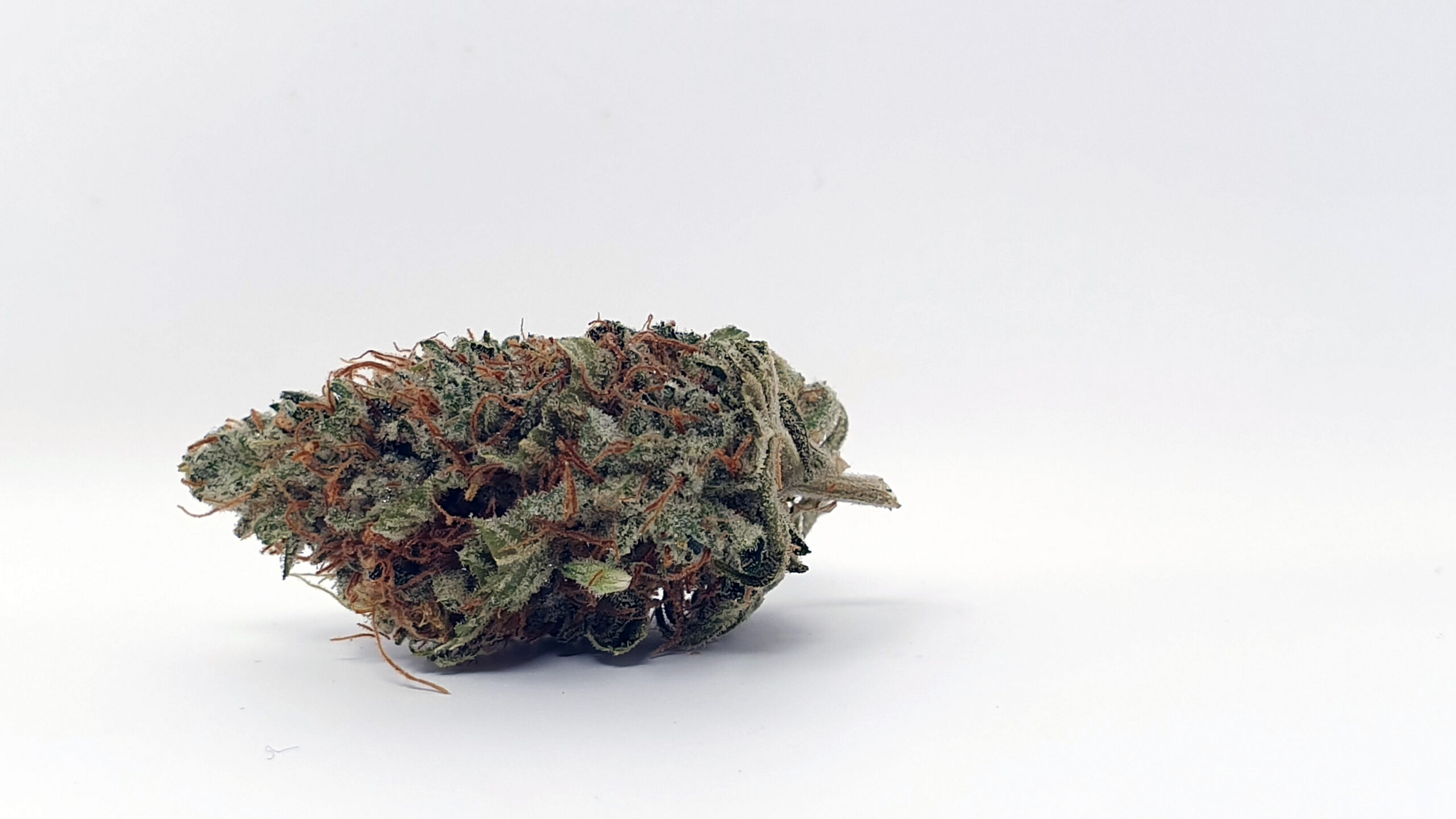 ISMOKE archive image 4 for Chocolate Starfish Cannabis strain review