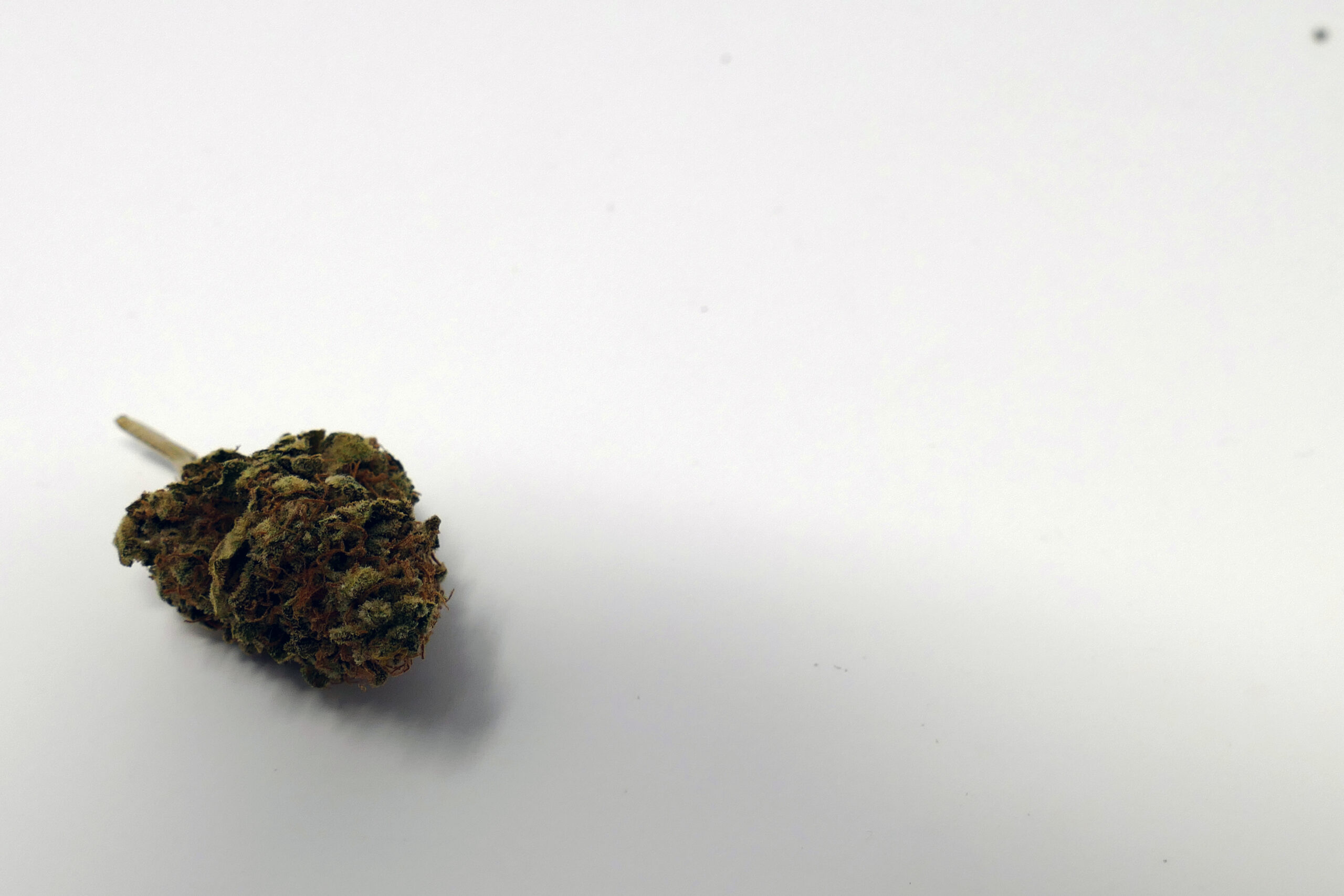 ISMOKE archive image 4 for El Fuego (The Fire) Cannabis strain review