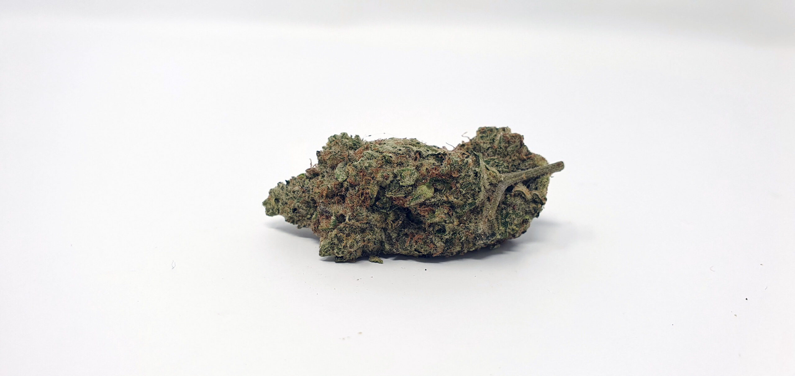 ISMOKE archive image 4 for Ginger Glue by Black Sheep Botanicals Cannabis strain review