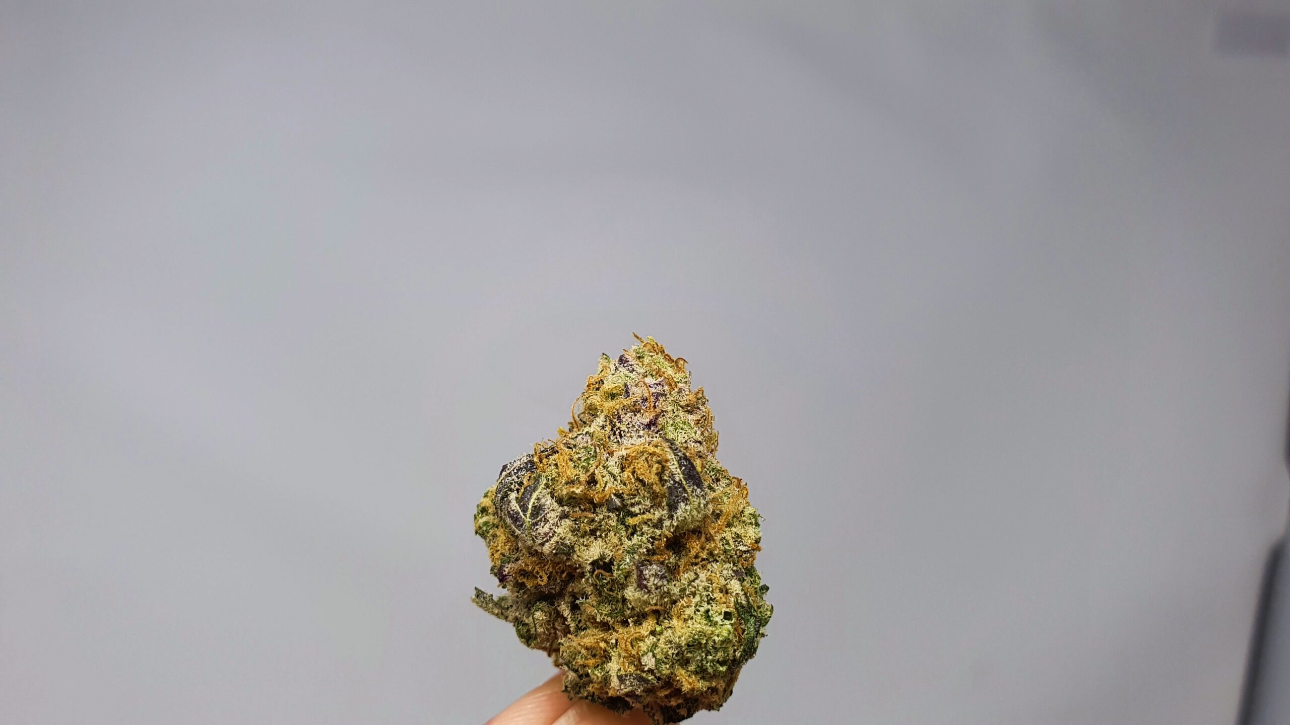 ISMOKE archive image 4 for Granola Funk Cannabis strain review
