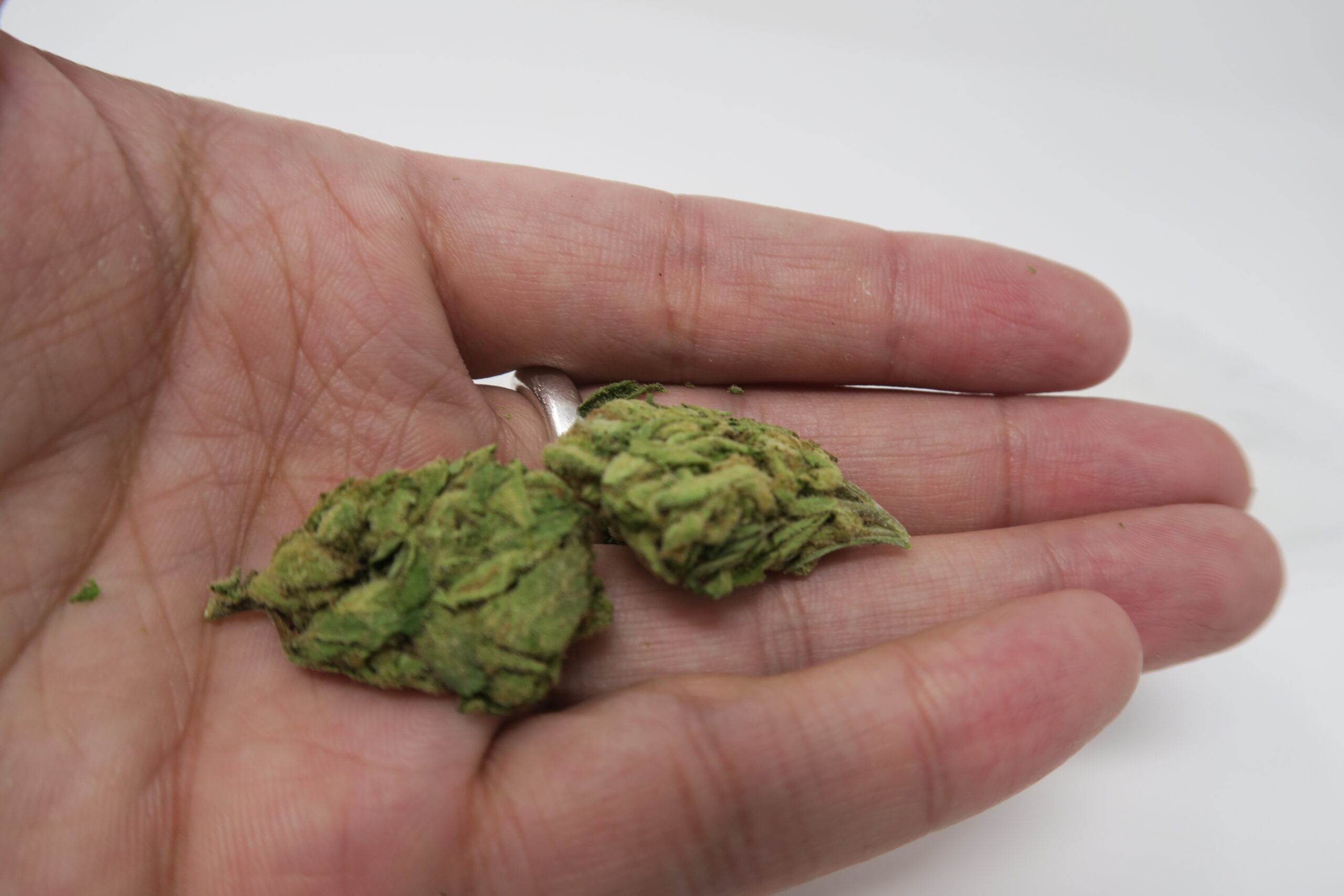 ISMOKE archive image 4 for Green Kiss Cannabis Strain Review