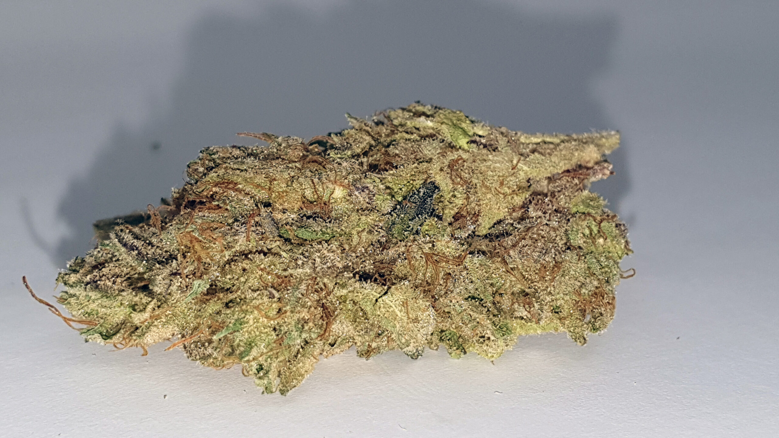ISMOKE archive image 4 for Jaffacito Cannabis strain review