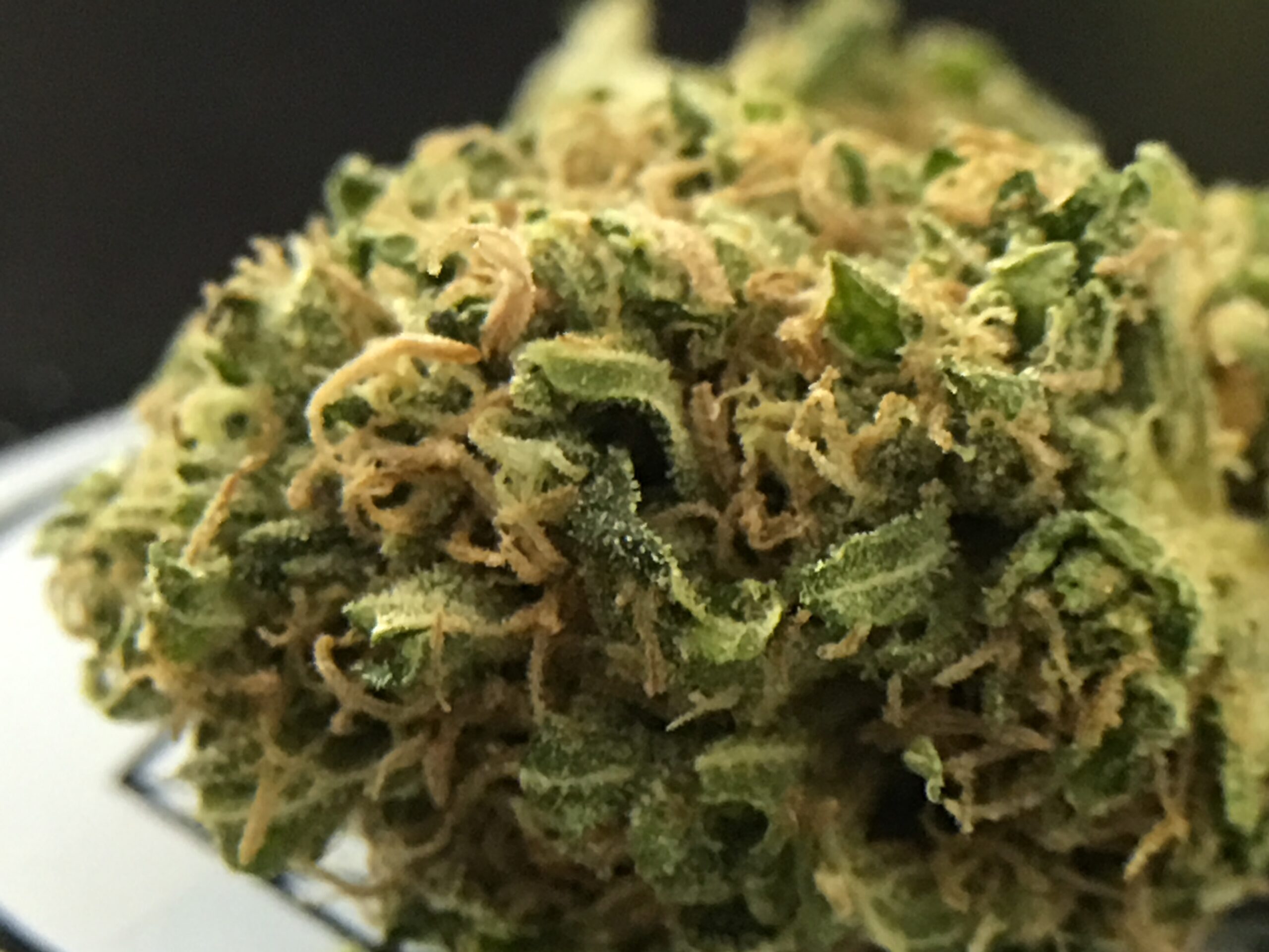 ISMOKE archive image 4 for Knightsbridge OG Weed Strain Review
