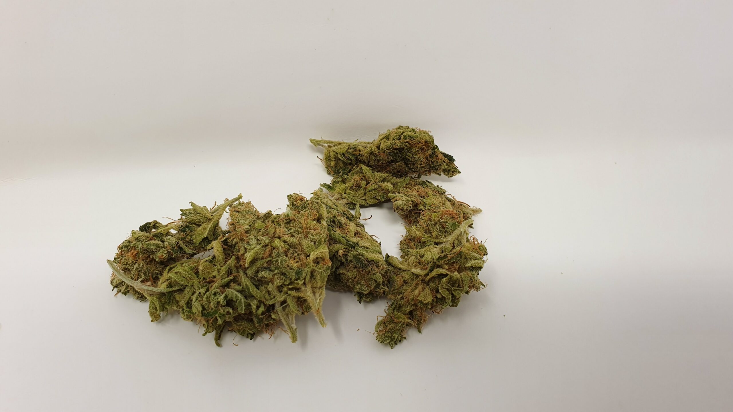 ISMOKE archive image 4 for Sour Tangie Cannabis strain review