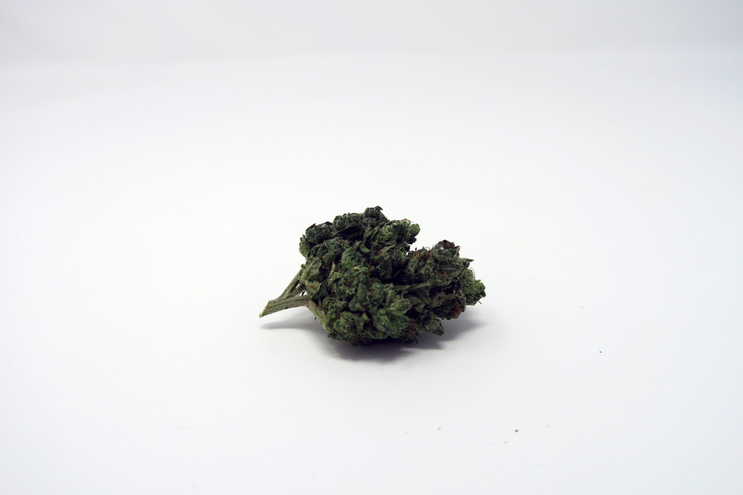 ISMOKE archive image 4 for Orange Diesel V3 [ODV3] Cannabis Strain Review