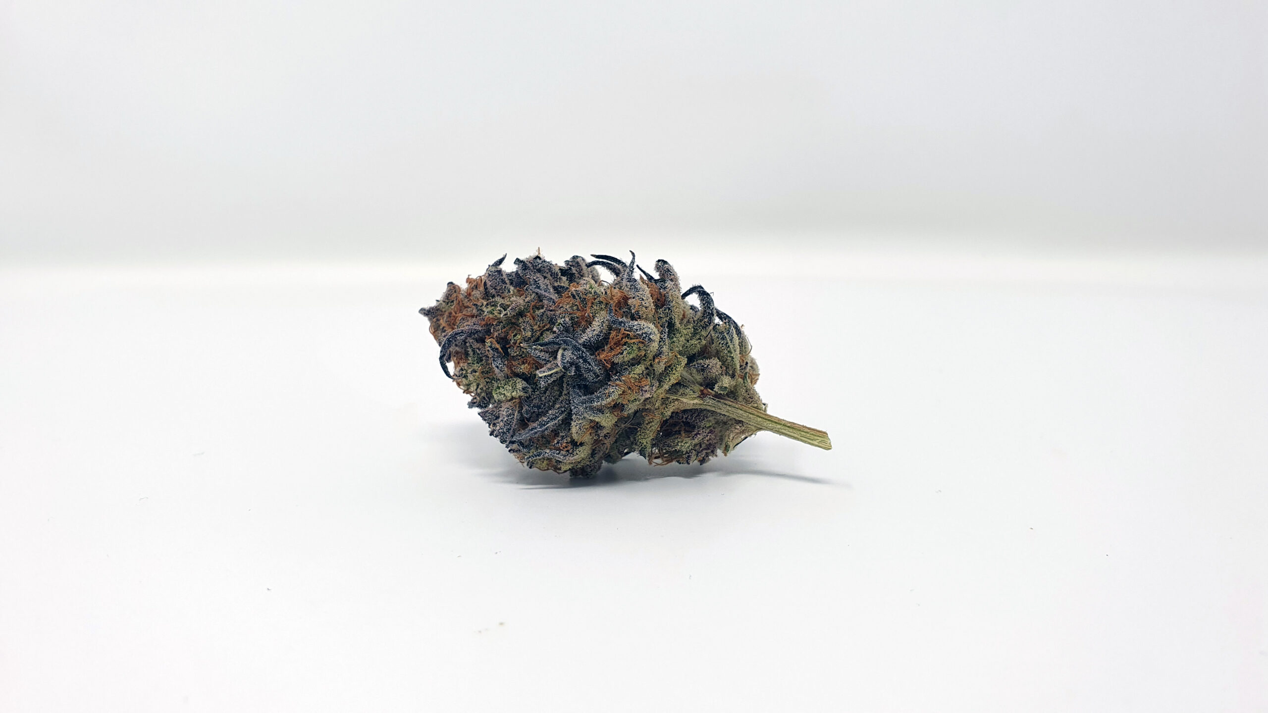 ISMOKE archive image 4 for Platinum Jelly Cannabis Strain Review