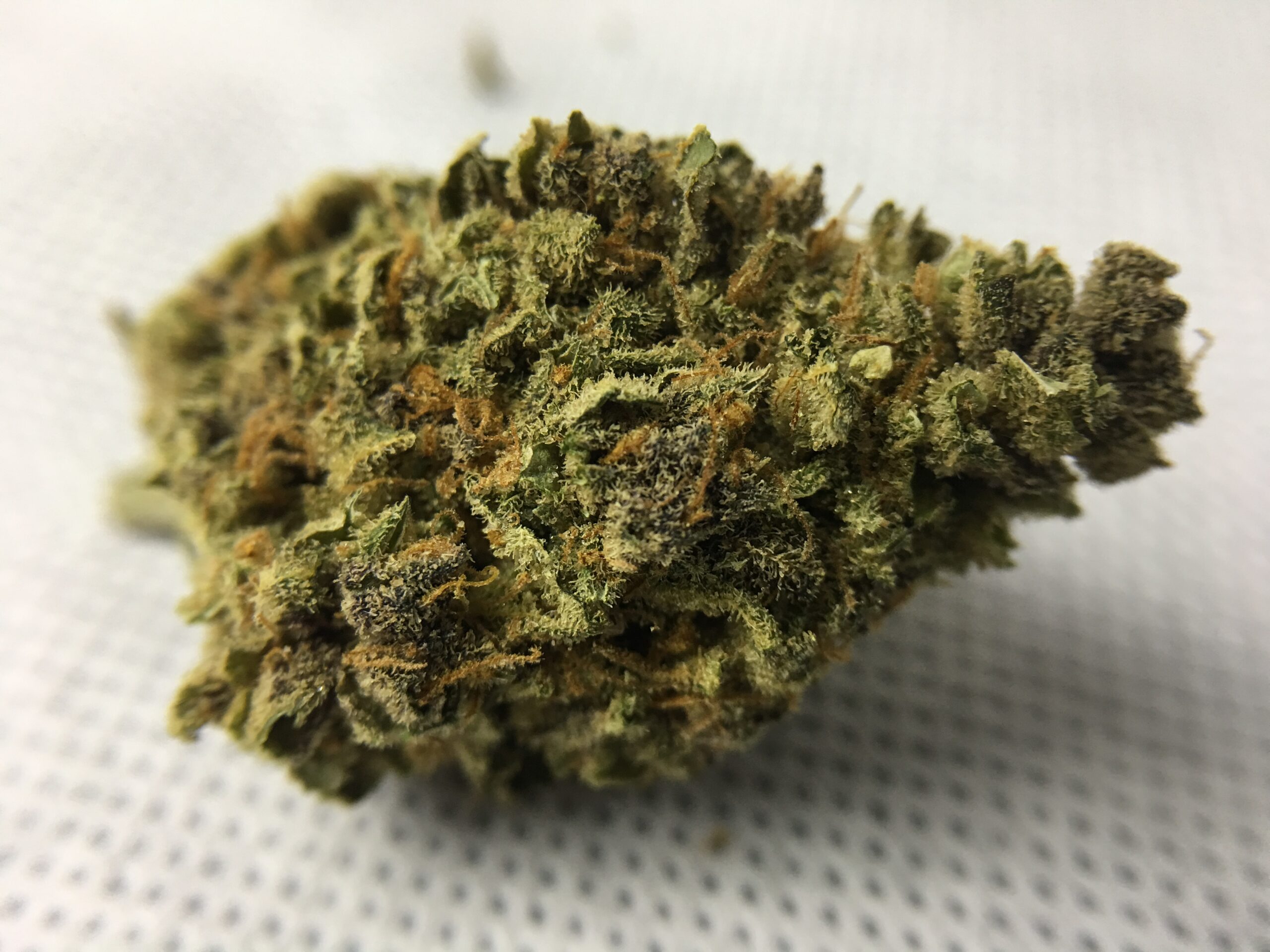 ISMOKE archive image 4 for Purple Mother of Berries Cannabis Strain Review