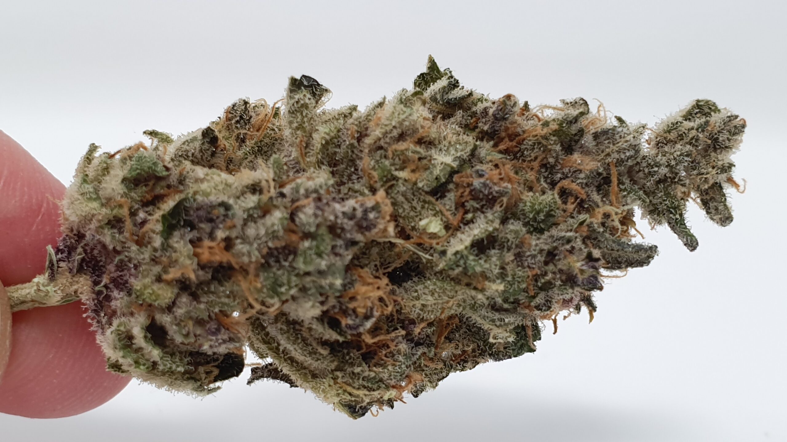 ISMOKE archive image 4 for Purple Punch Cannabis strain review