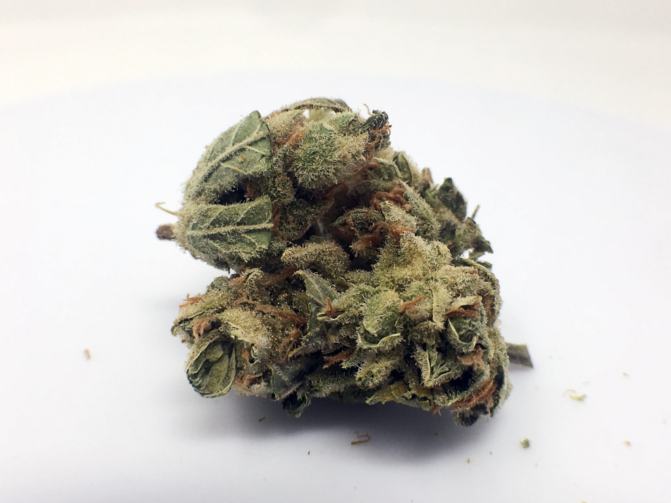 ISMOKE archive image 4 for Silver Bubble Strain Review