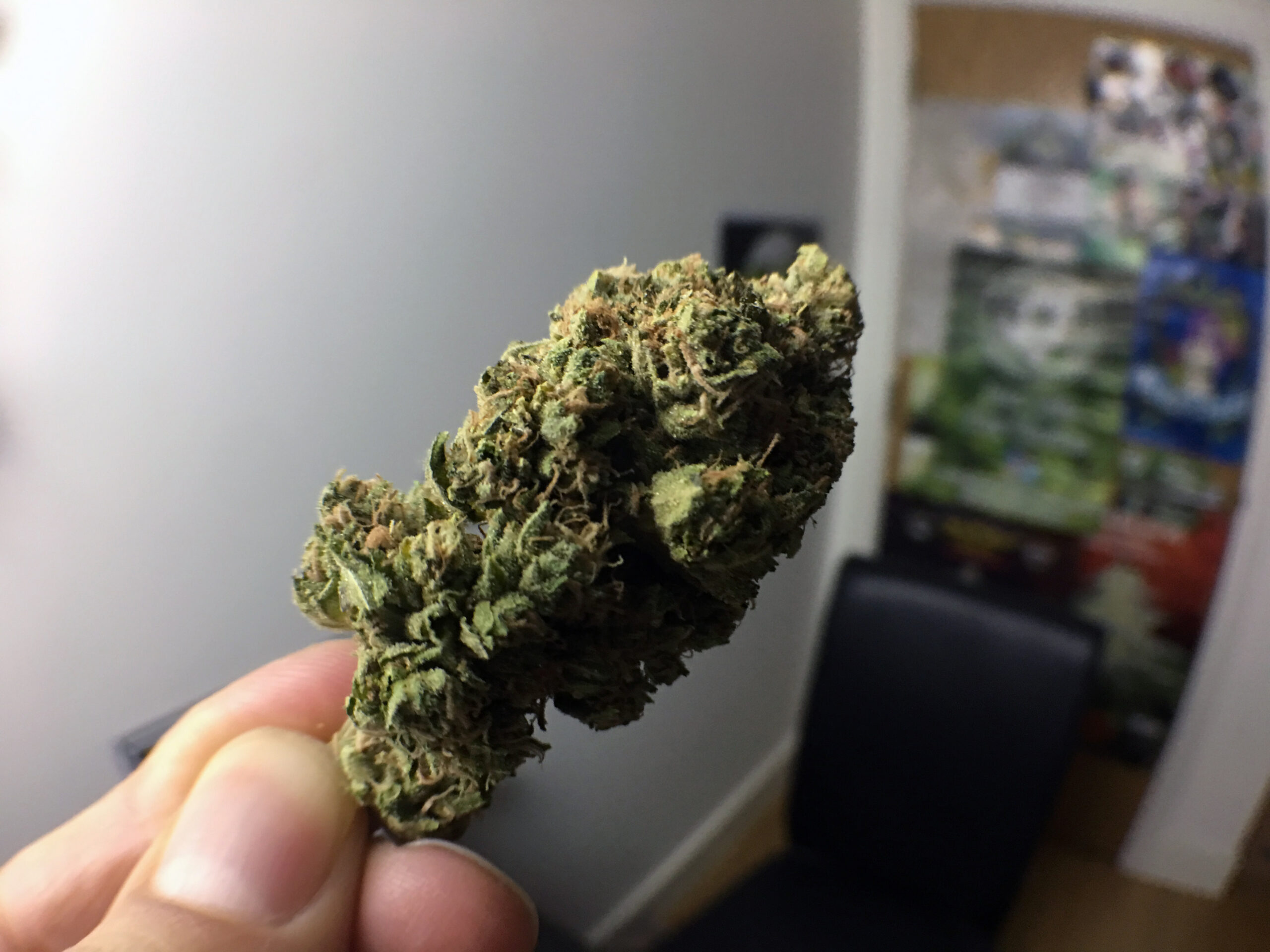 ISMOKE archive image 4 for Skywalker OG Cannabis Strain Review
