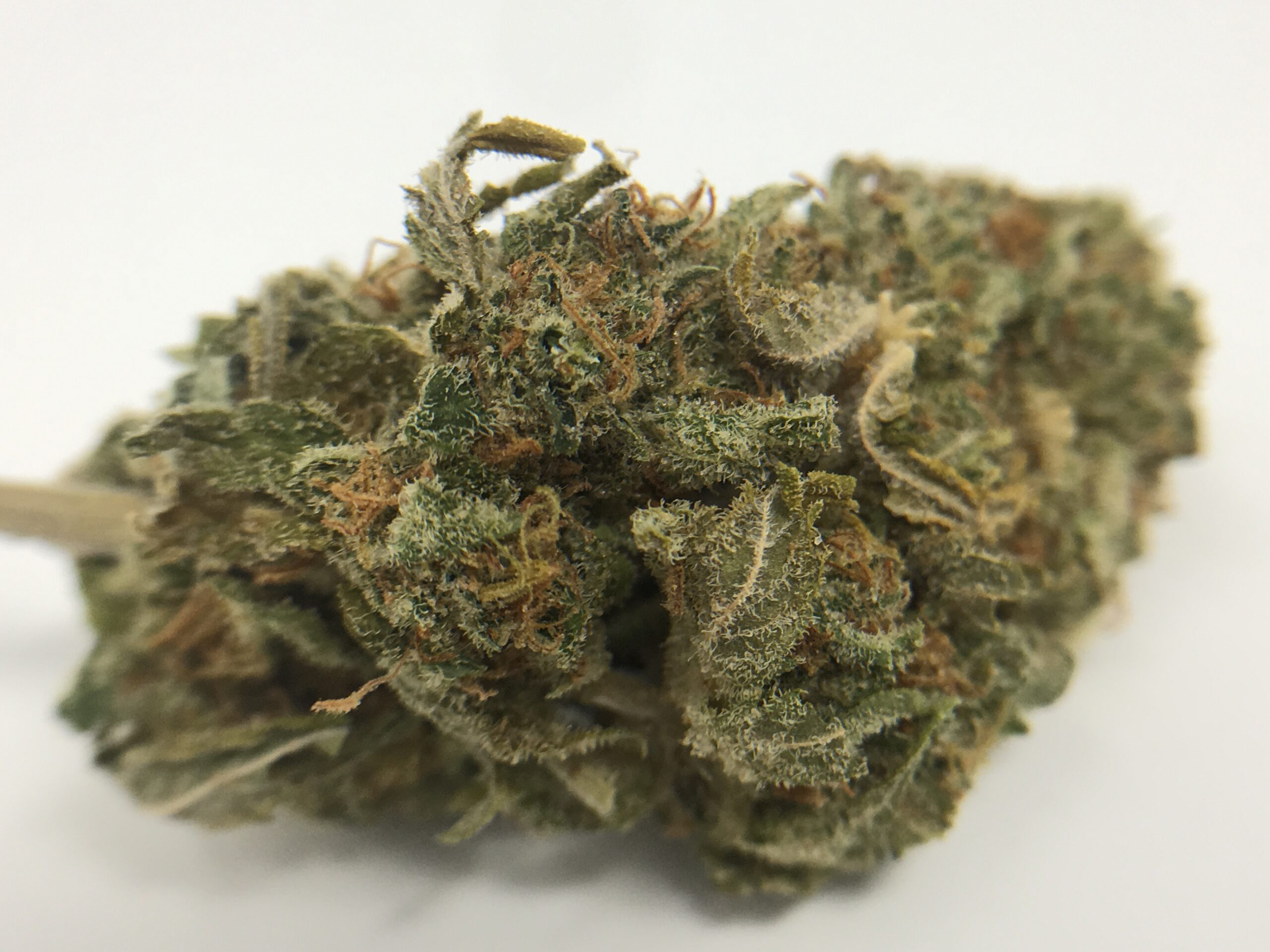 ISMOKE archive image 4 for Stardawg Strain Review