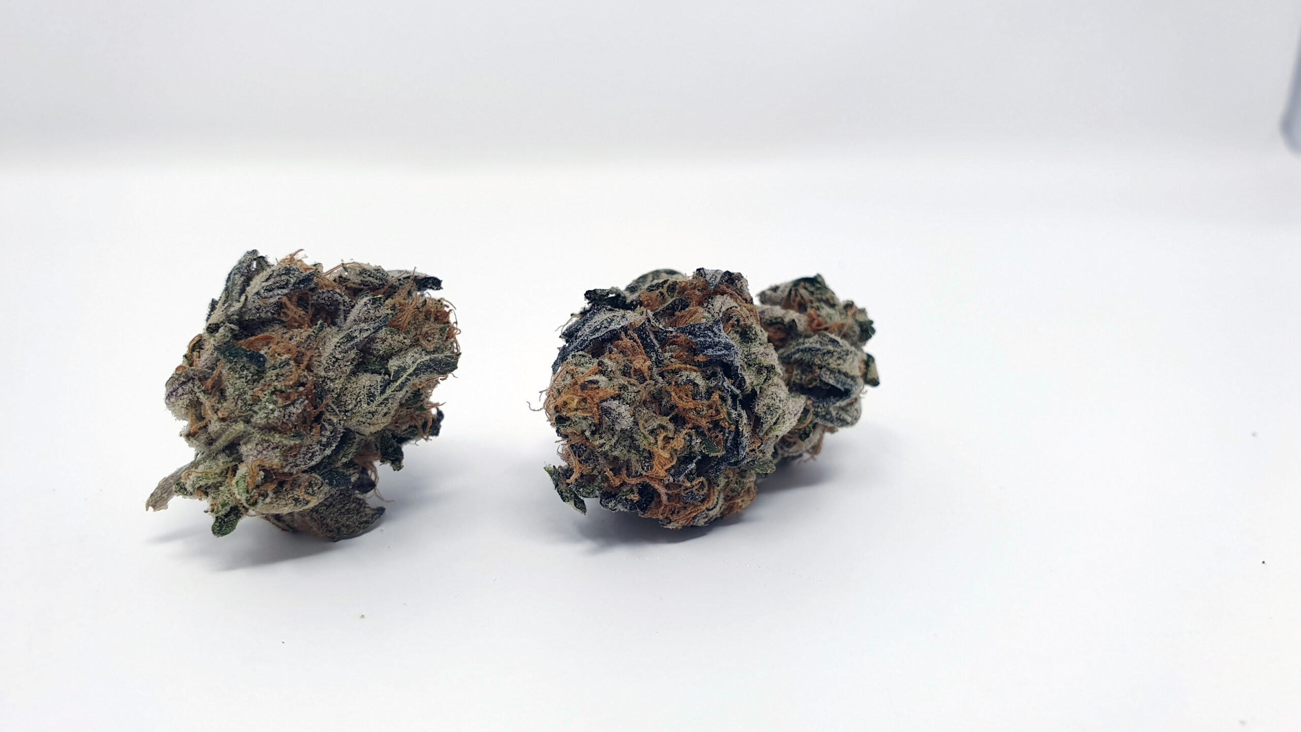 ISMOKE archive image 4 for Sunset Sherbet Cannabis strain review