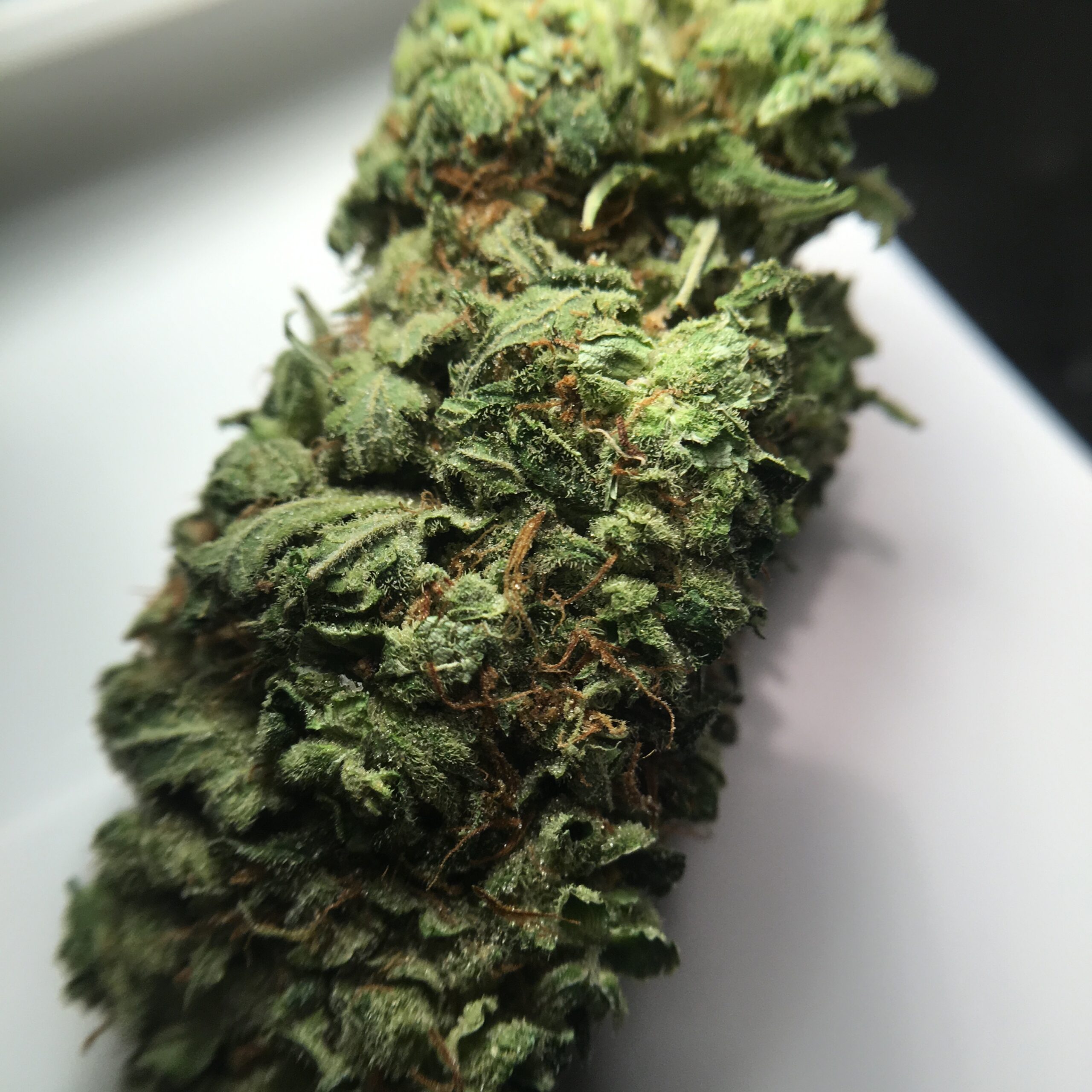 ISMOKE archive image 4 for Super Bud Cannabis Strain Review