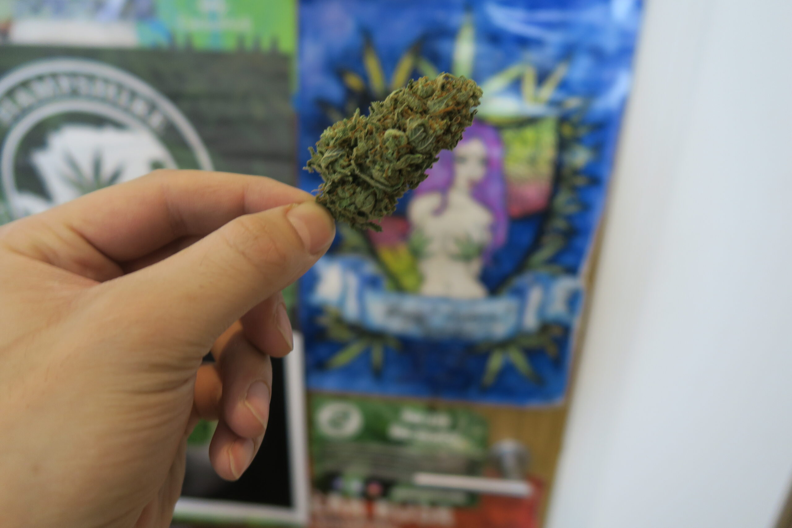 ISMOKE archive image 4 for Lemon Haze CBD Strain Review