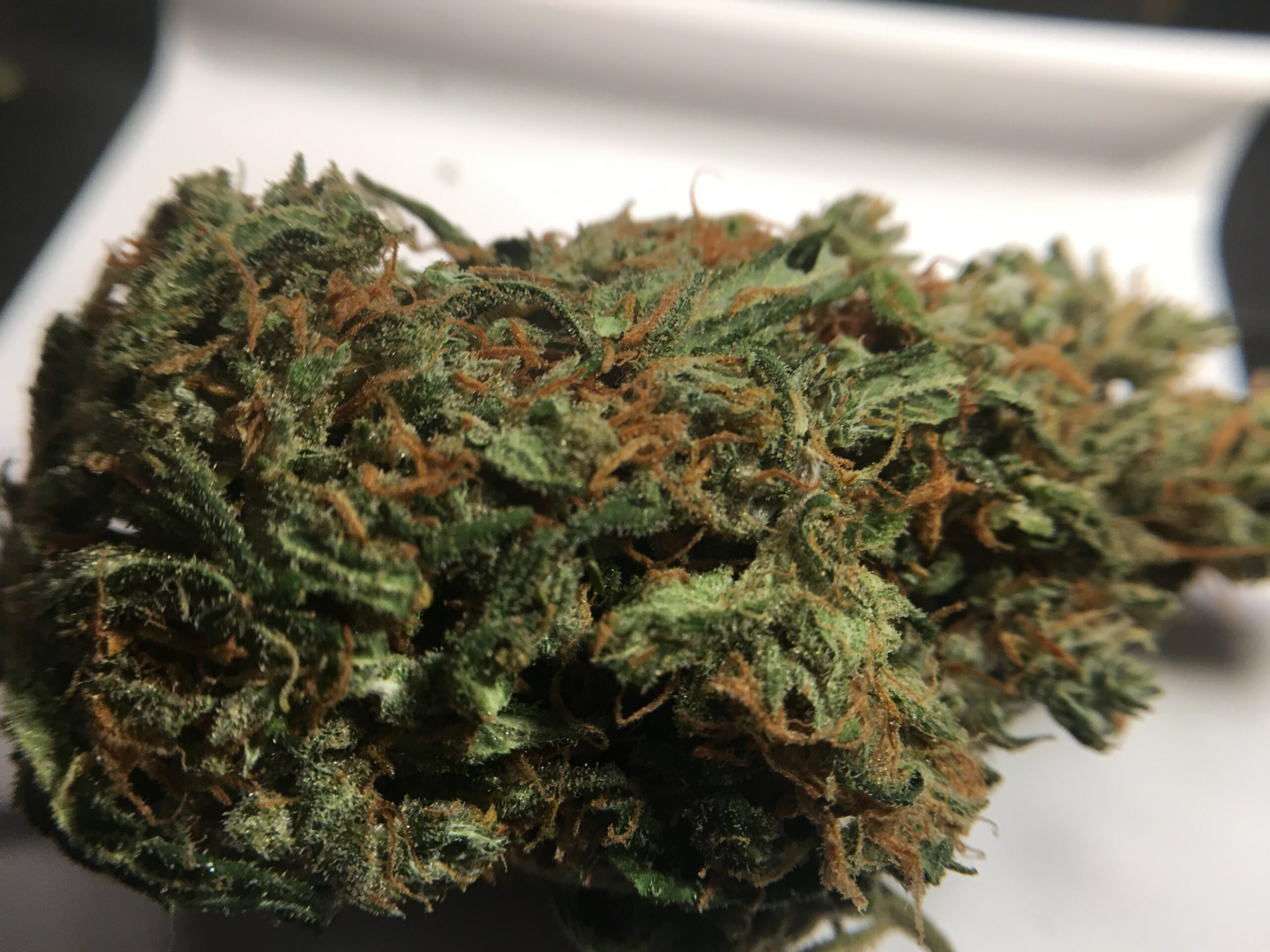 ISMOKE archive image 4 for Super Silver Haze Cannabis Strain review