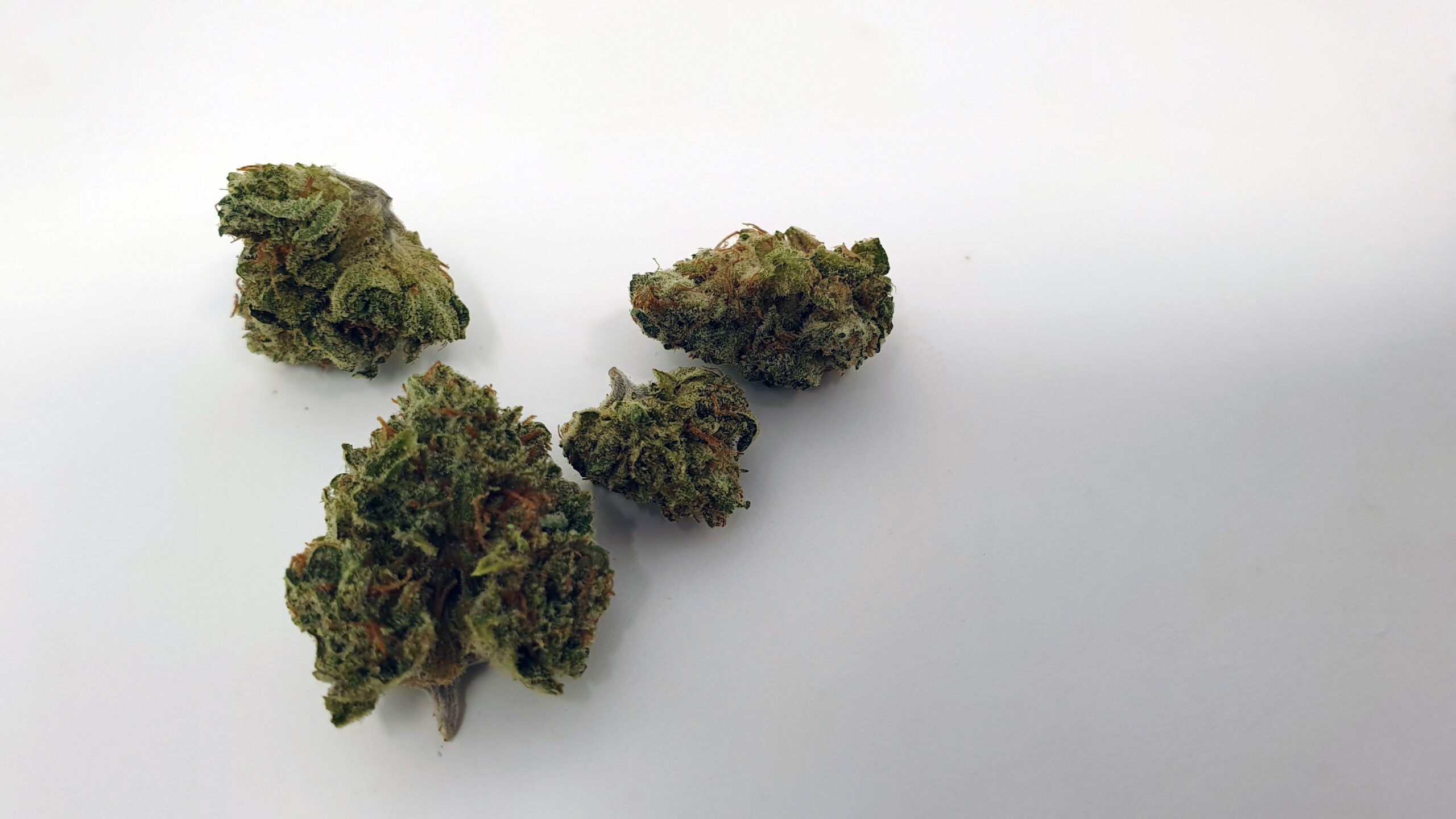 ISMOKE archive image 4 for ZkittleZ strain review
