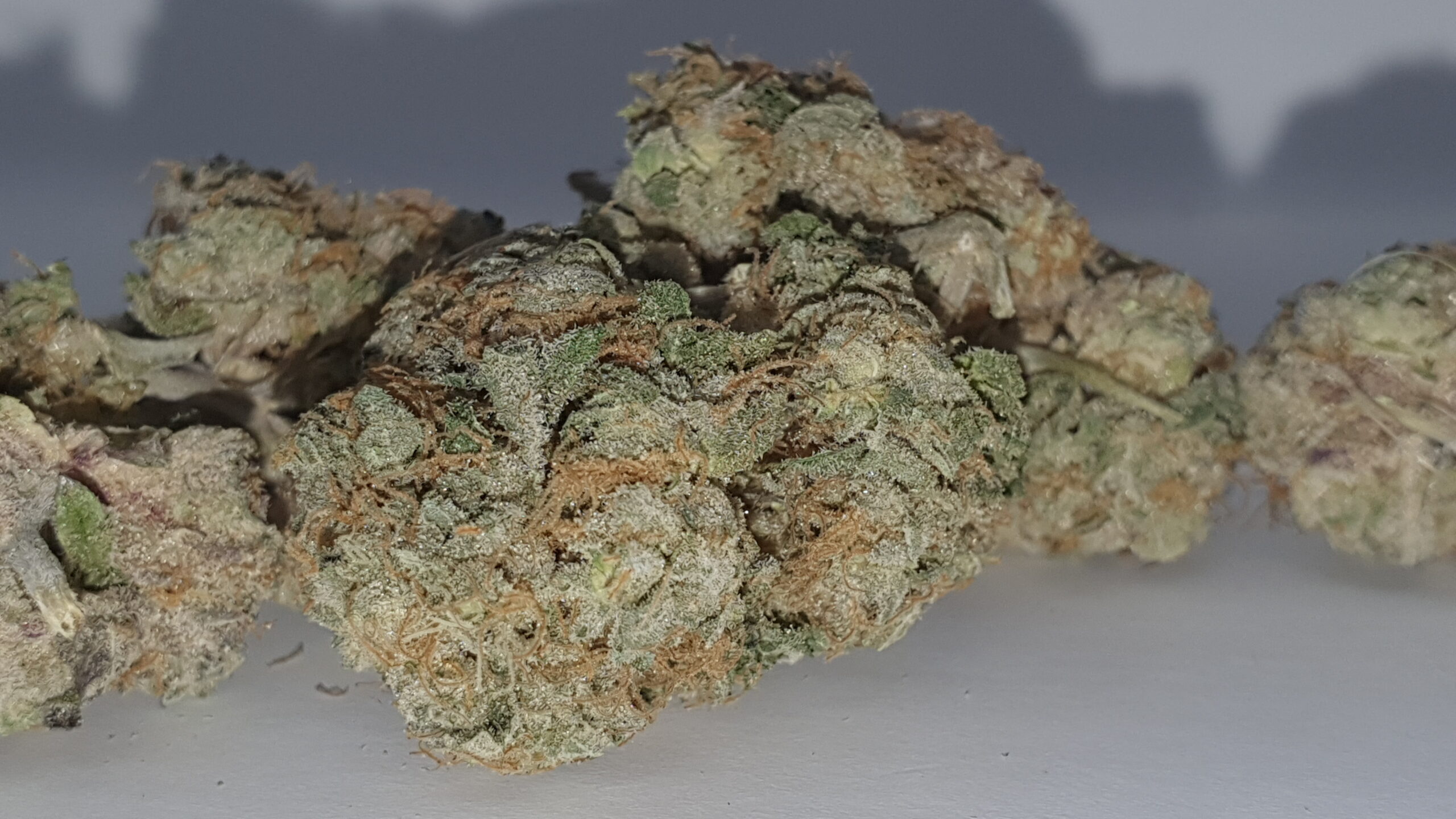 ISMOKE archive image 5 for Ice Cream Cake Cannabis strain review