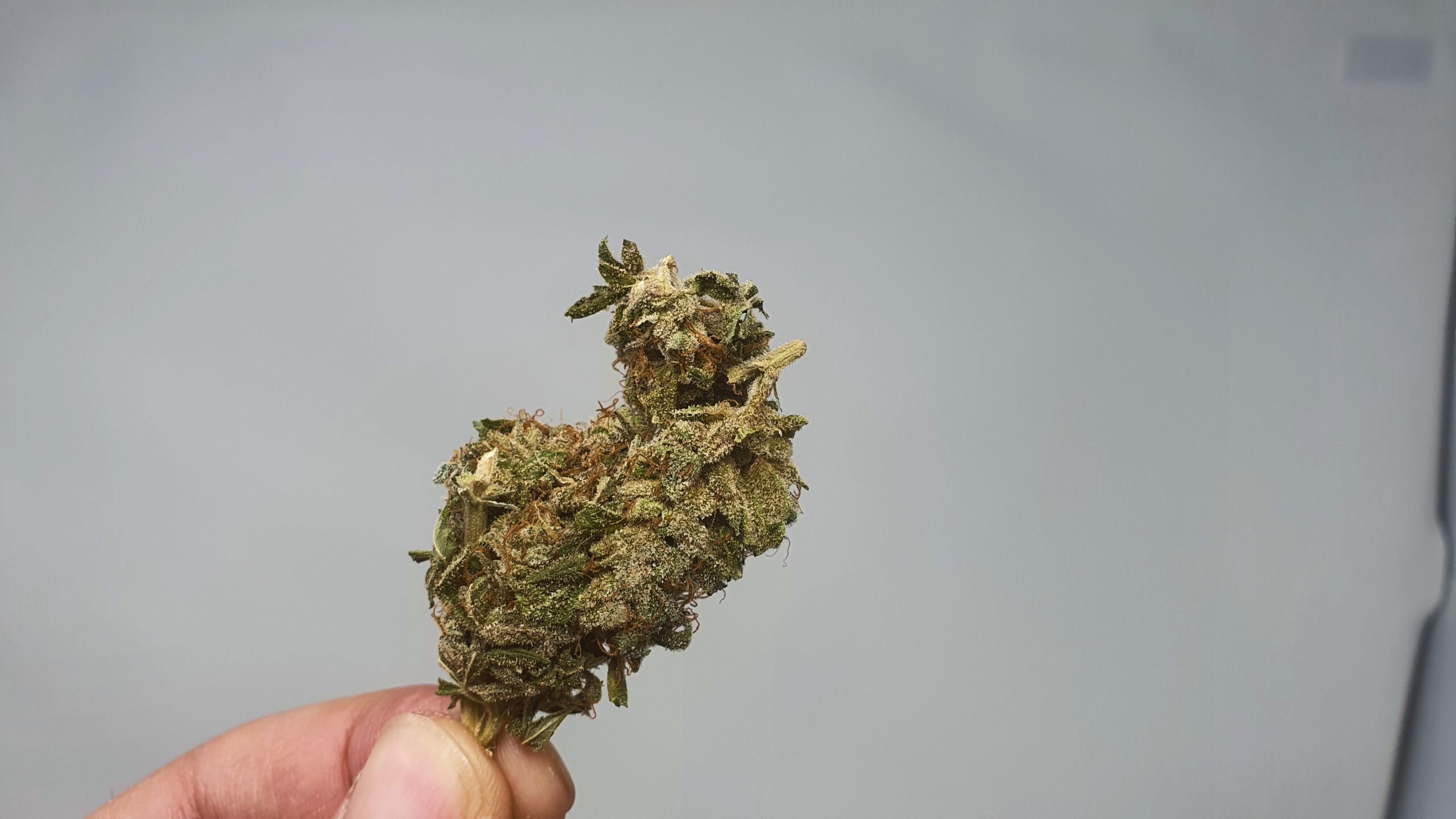 ISMOKE archive image 5 for Berry Split Cannabis strain review