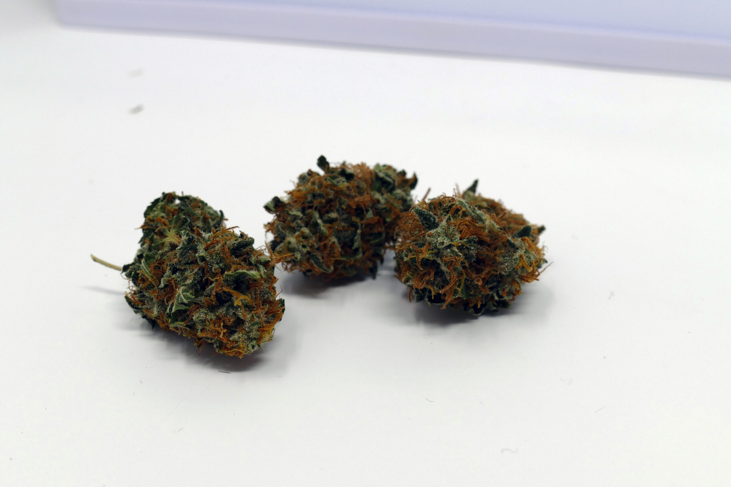 ISMOKE archive image 5 for Early Skunk Cannabis strain review