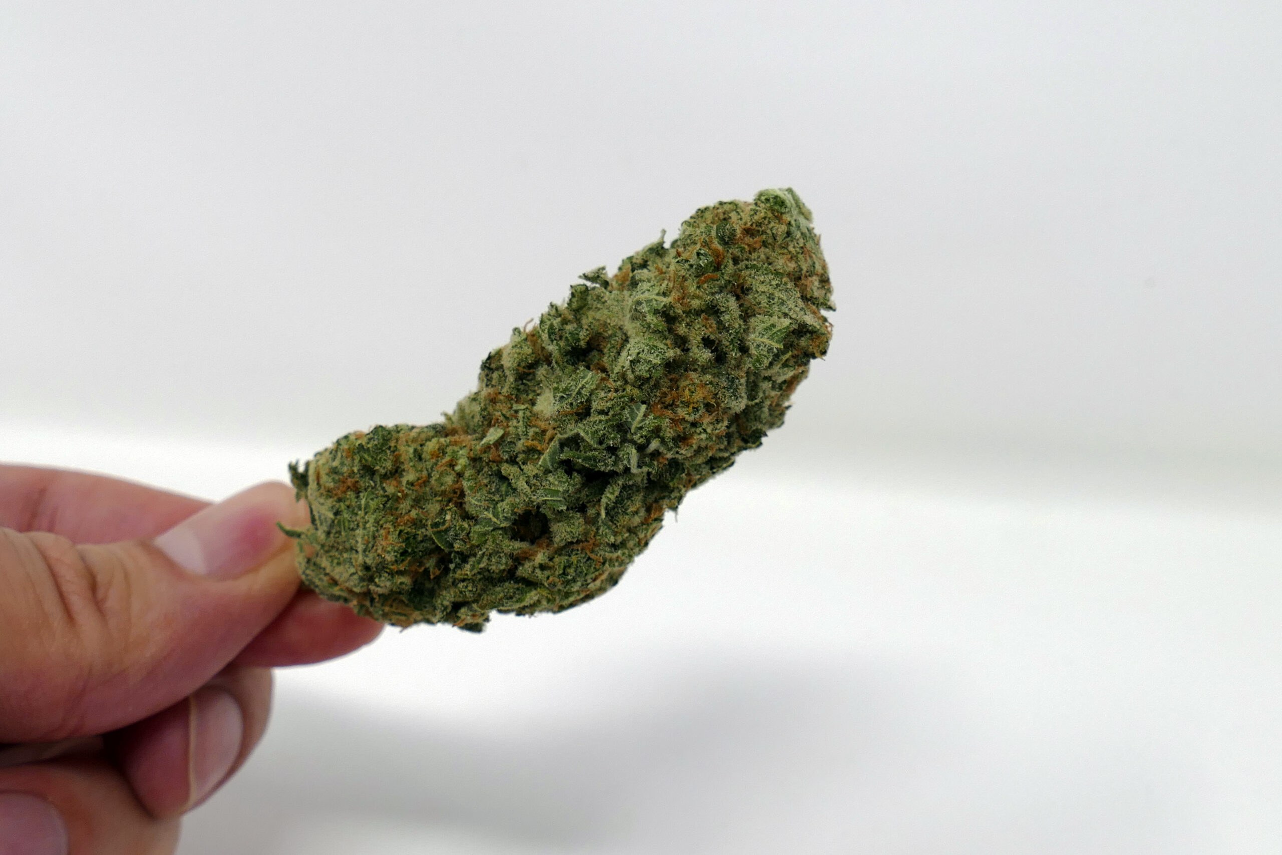 ISMOKE archive image 5 for Zed Cannabis strain review