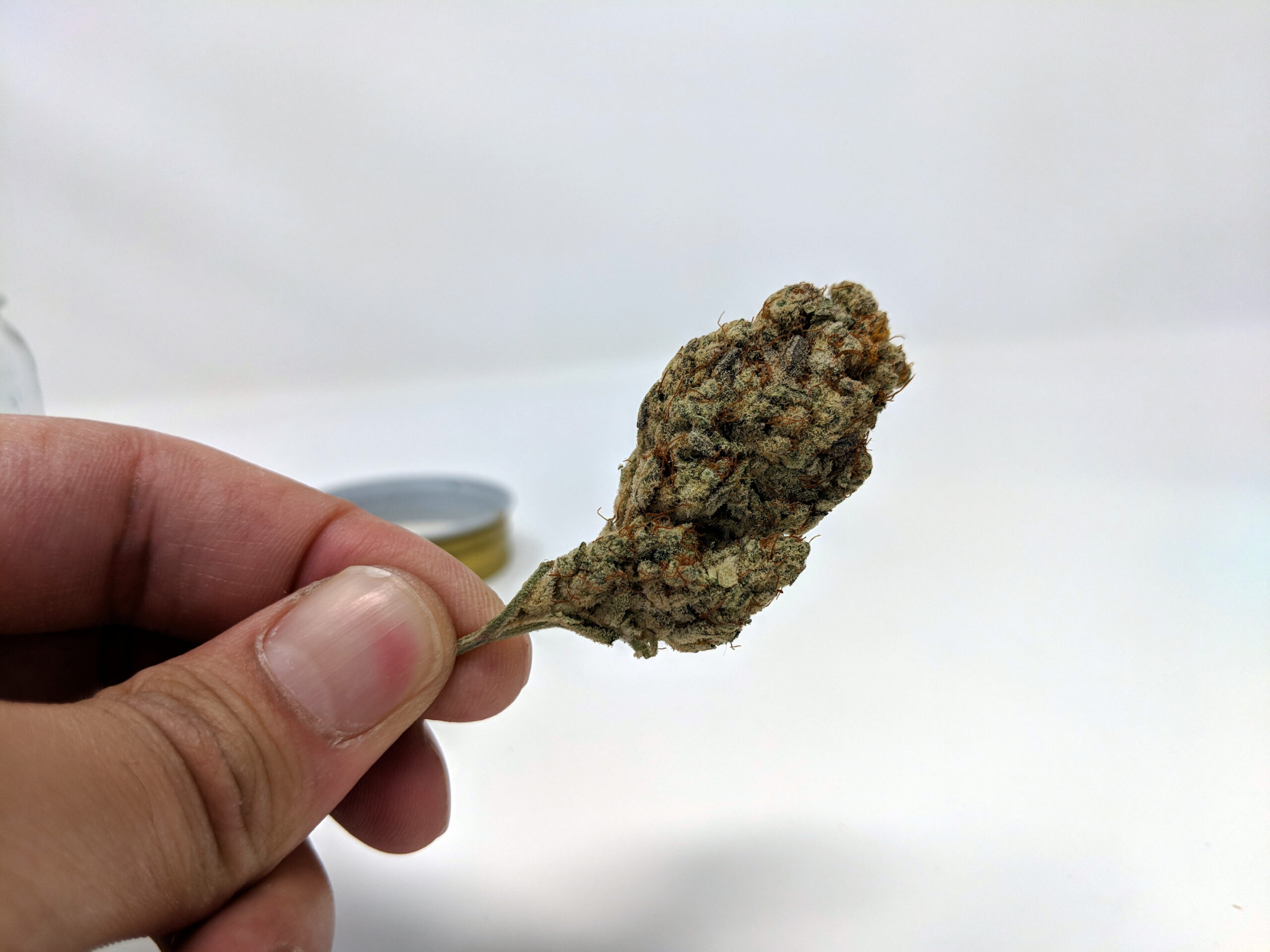 ISMOKE archive image 5 for Alien Cream Cake Strain Review