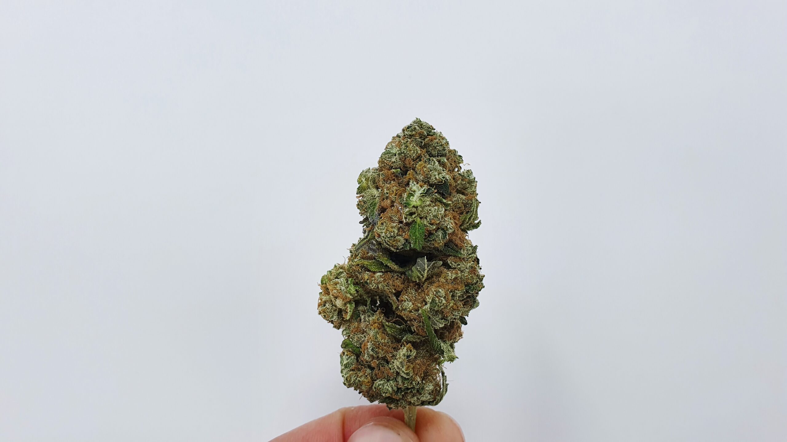 ISMOKE archive image 5 for Banana MAC Cannabis strain review