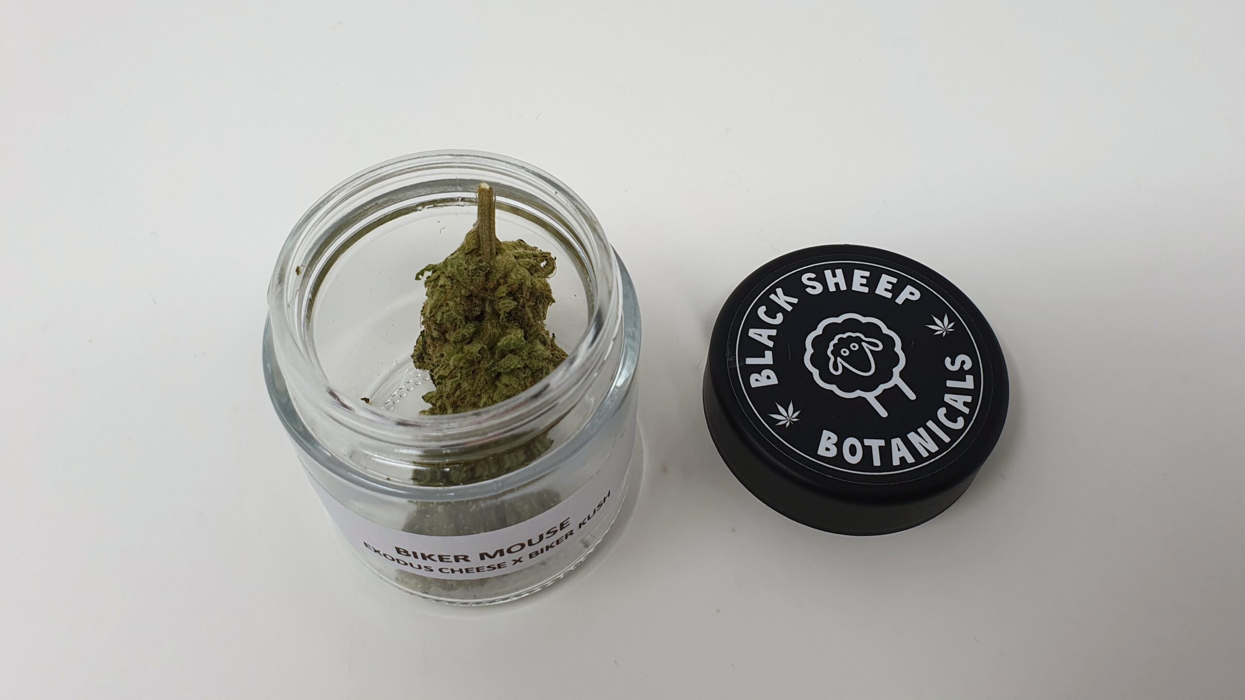 ISMOKE archive image 5 for Biker Mouse Cannabis strain review